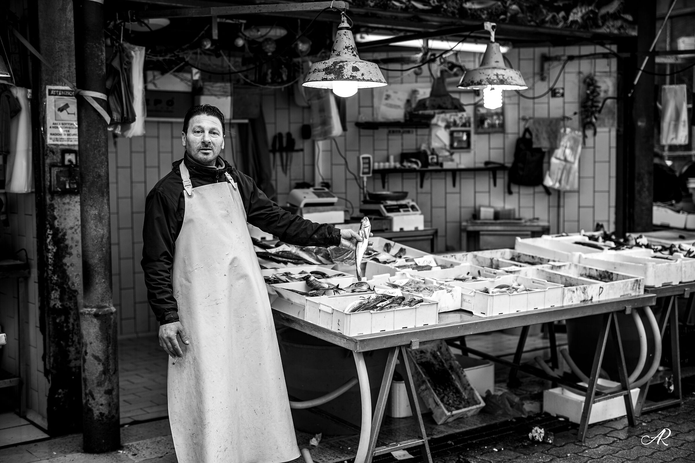 Market - Ex Manifattura Tabacchi - Bari