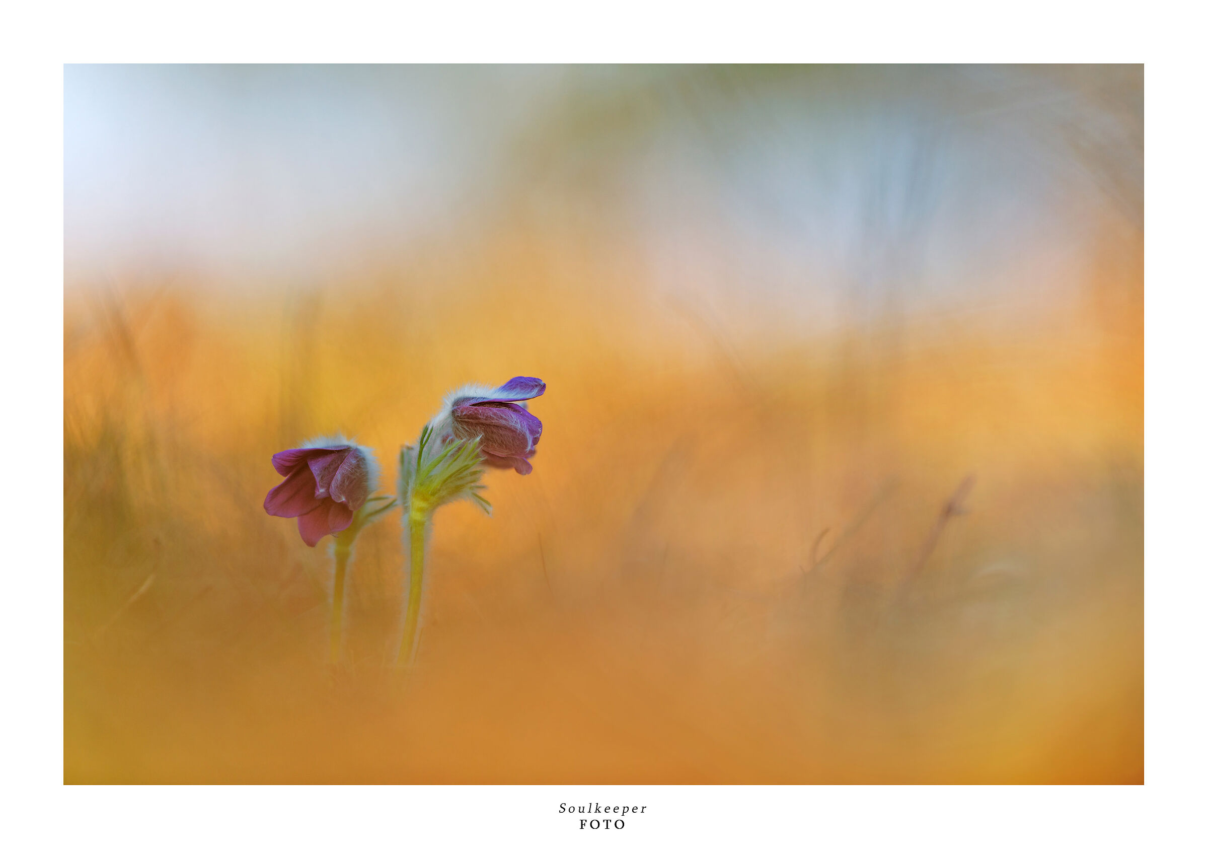 Only apparently distant.