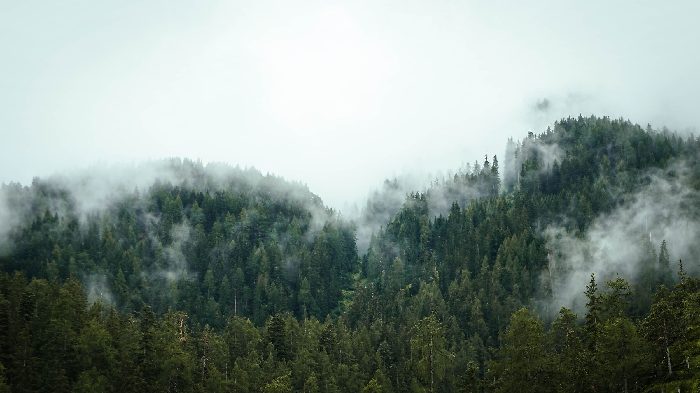 Fonti di San Candido