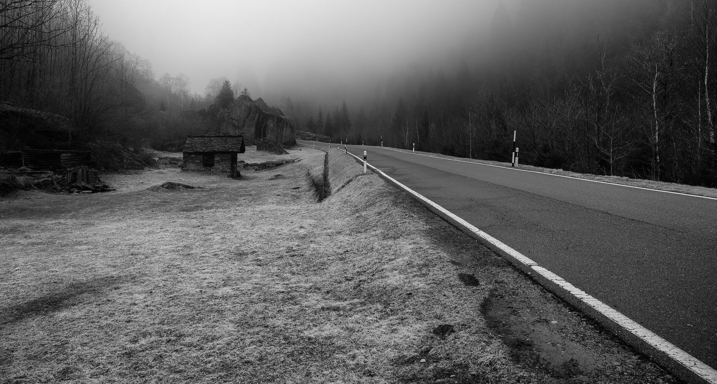 Between Arvigo and Selma