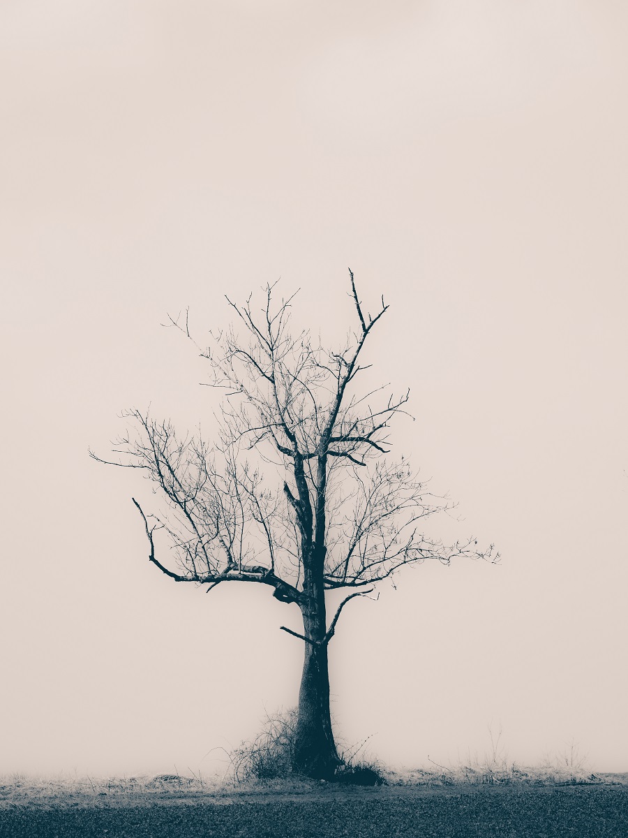 Untitled Photo