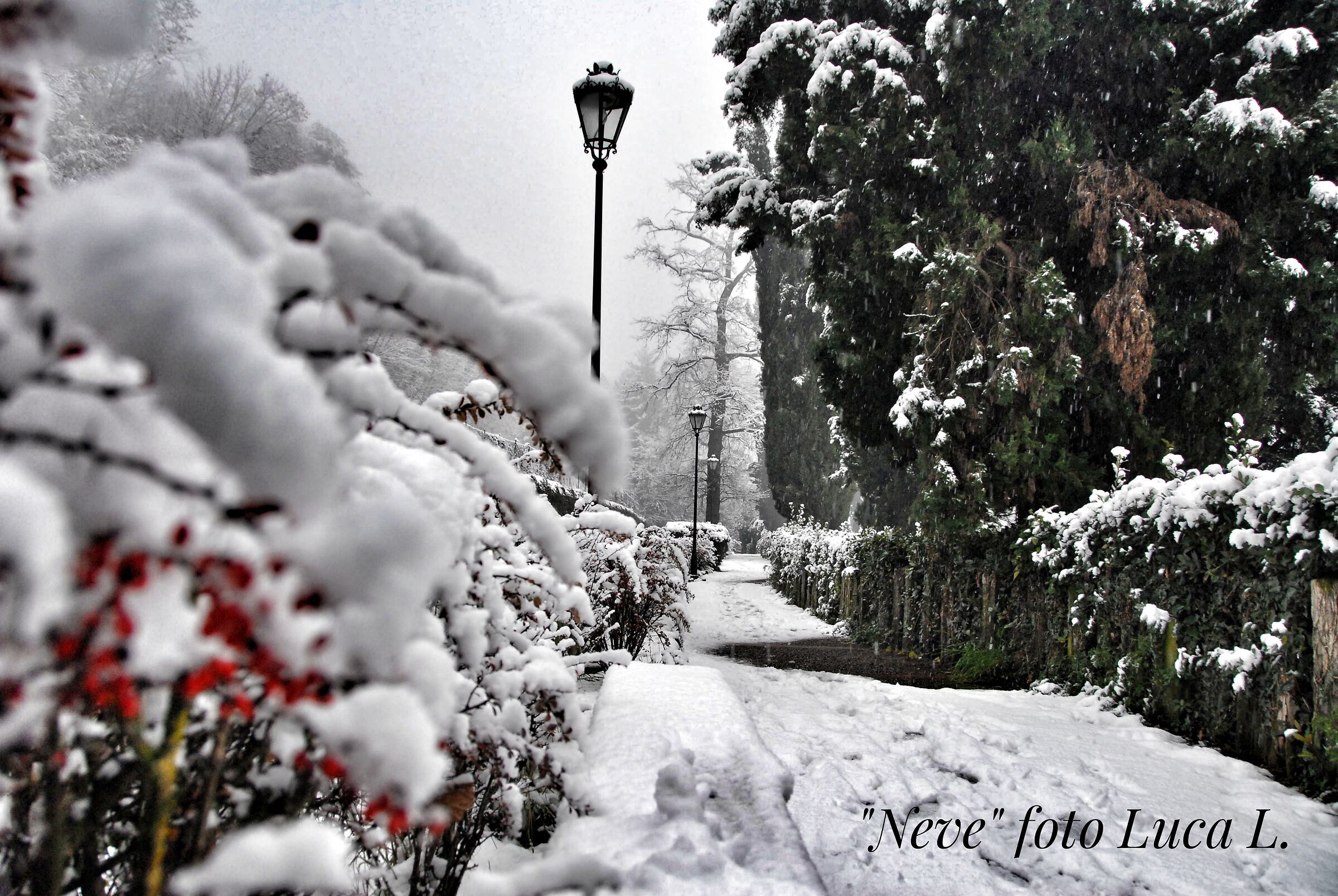 Snow