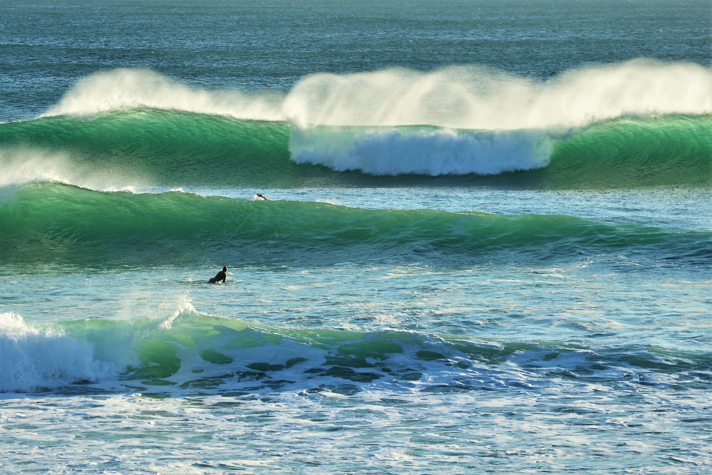 Un mercoledì da leoni