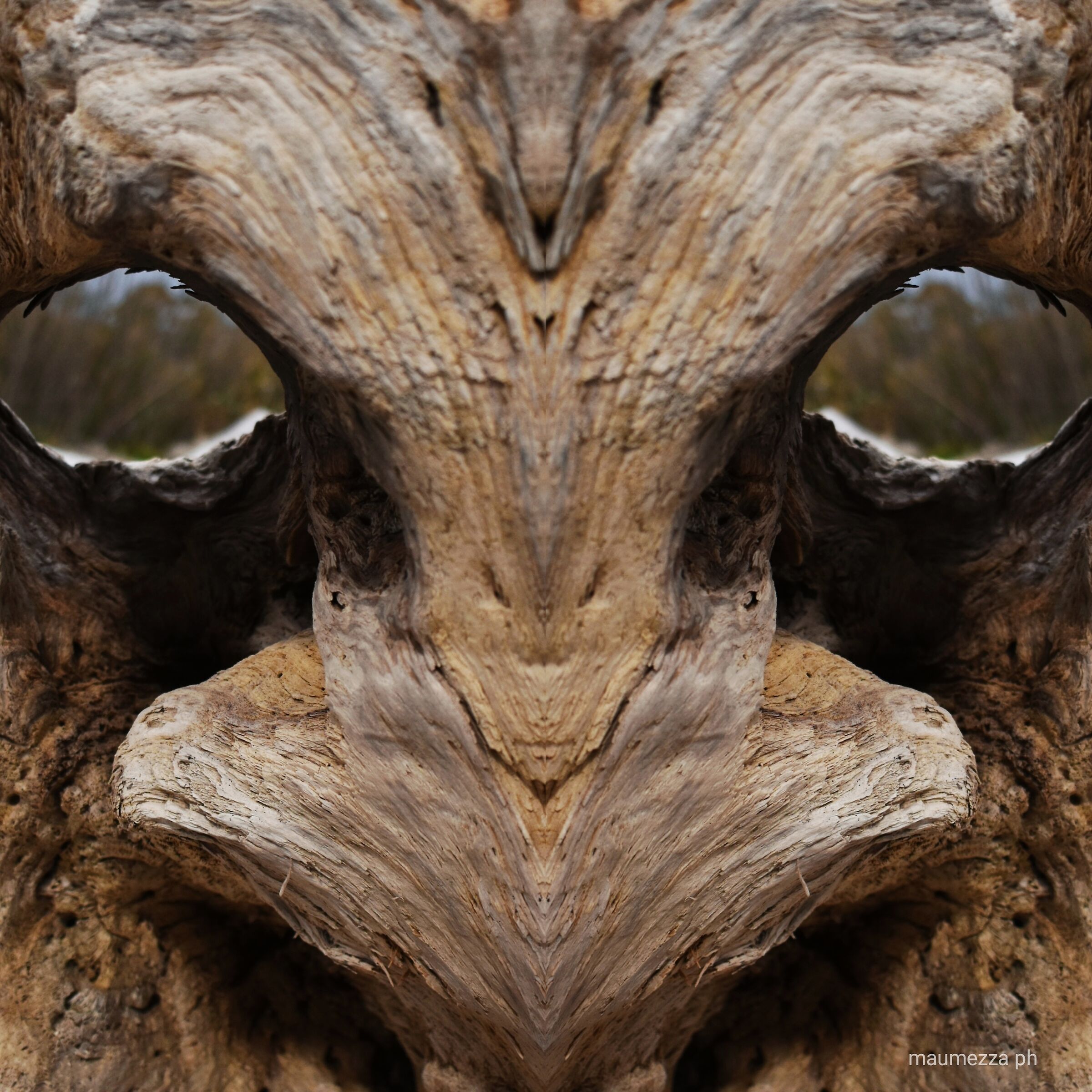 Sguardo