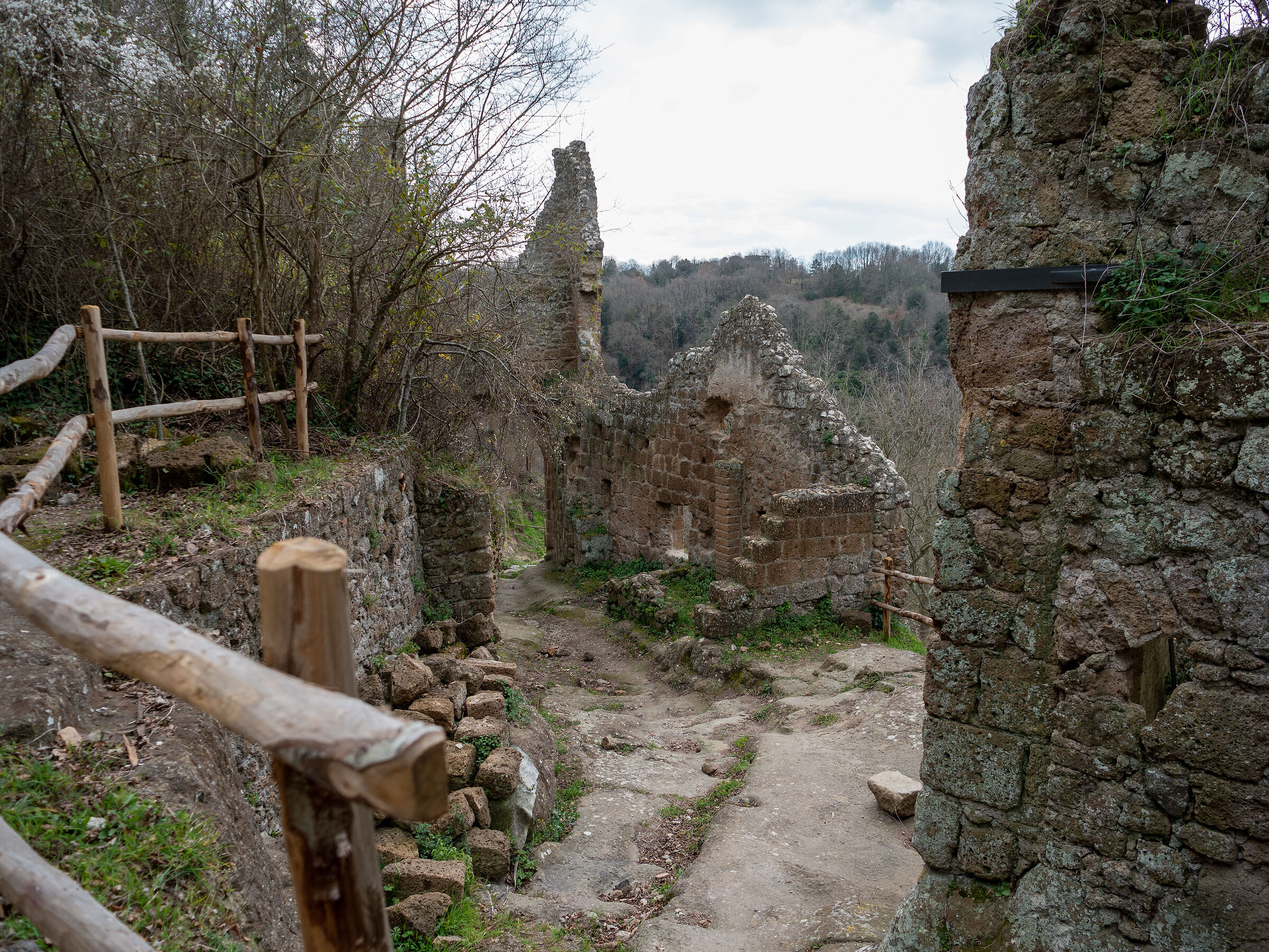 Monterano Antica, glimpse