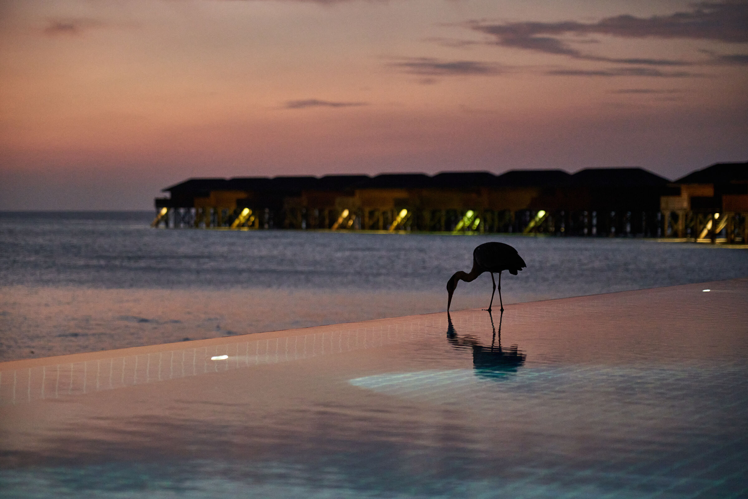 Maldivian sunset by the pool (ii)