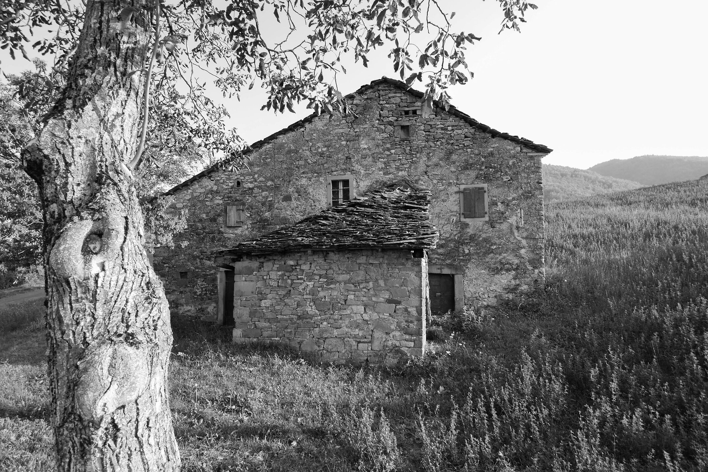 House in the field at sunset (Country studio)