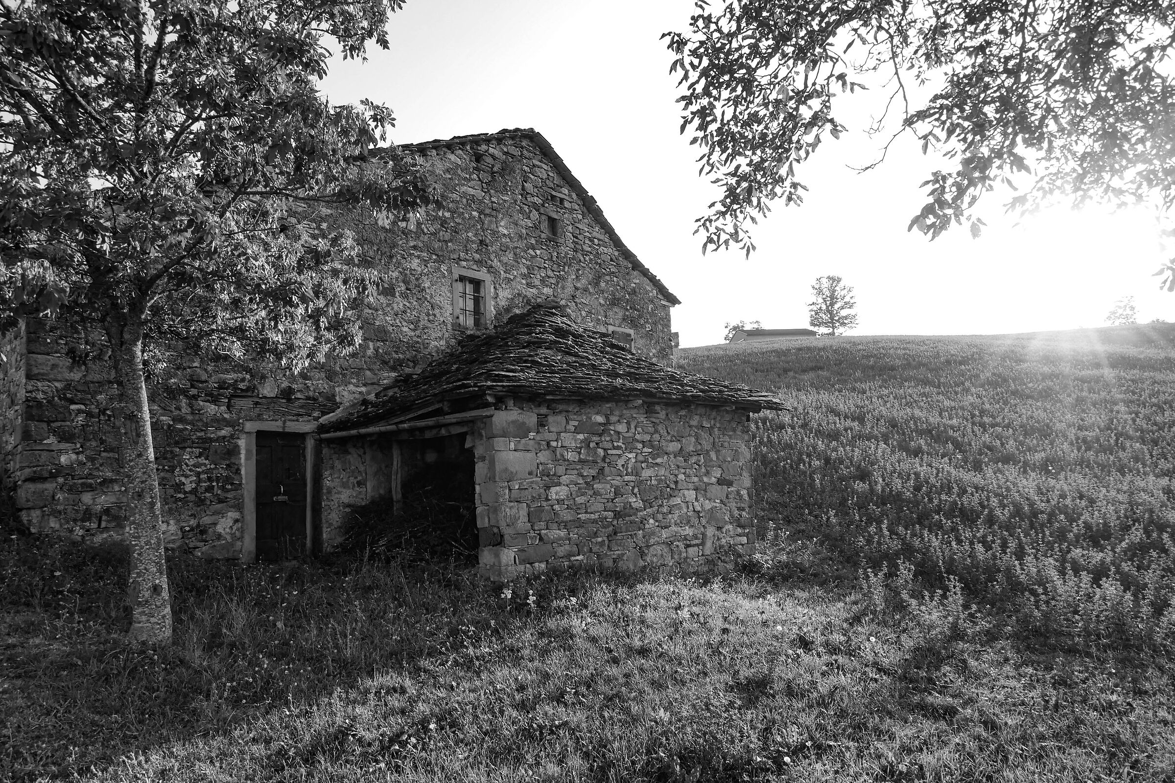 House in the field at sunset (Country studio) 2