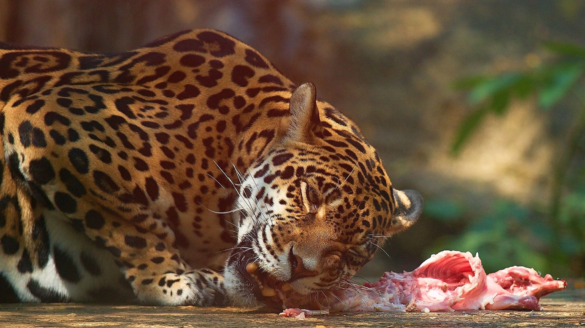 Lunch time