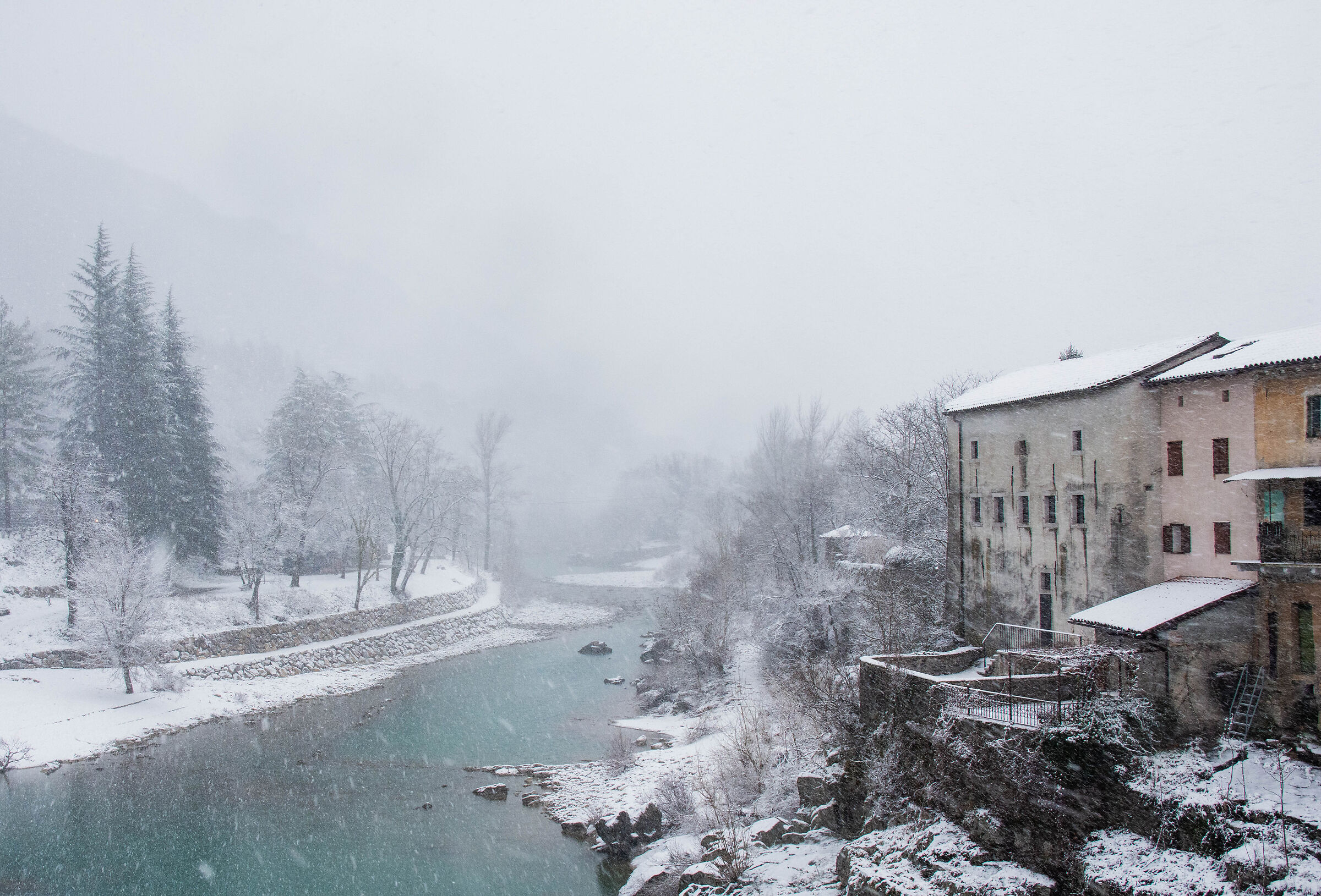 neve