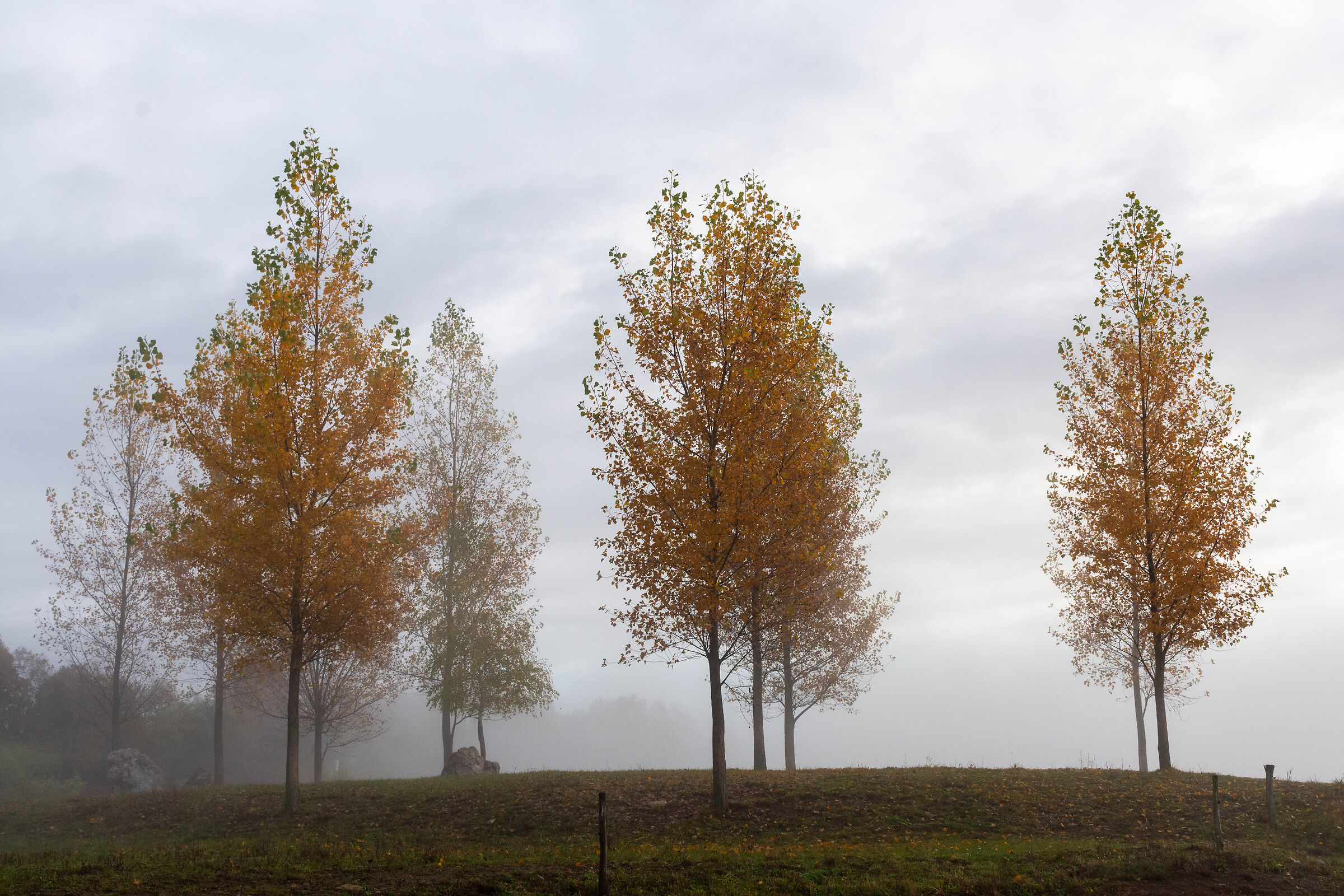 autunno