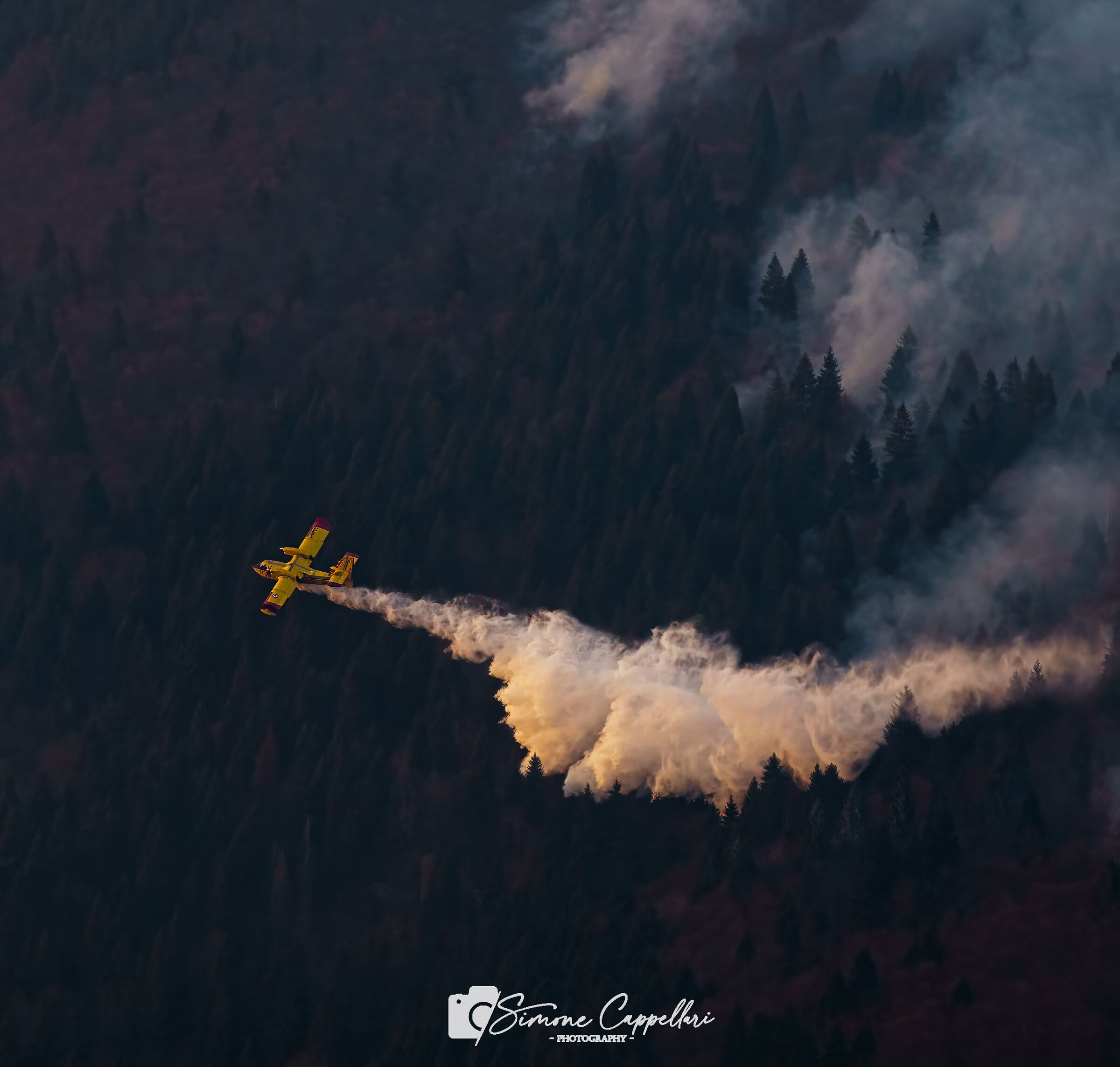 Canadair vs incendio