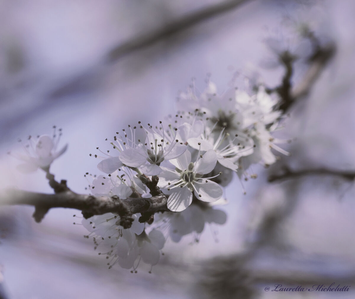 For you...