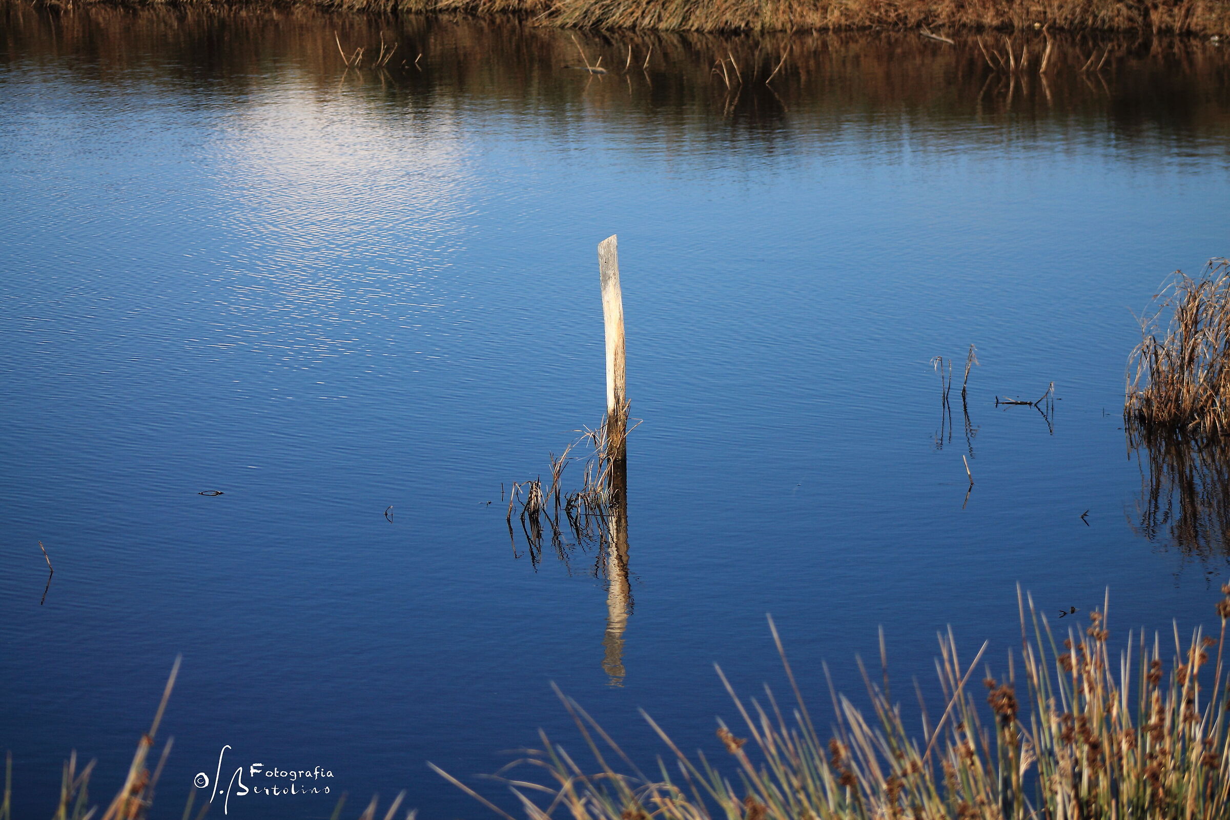 Reflections in the quagmire