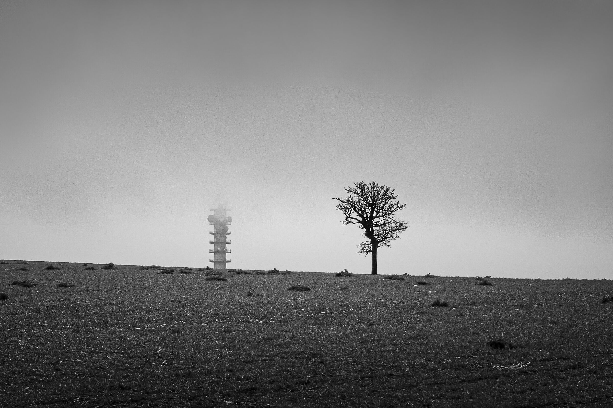 Desperate Tower