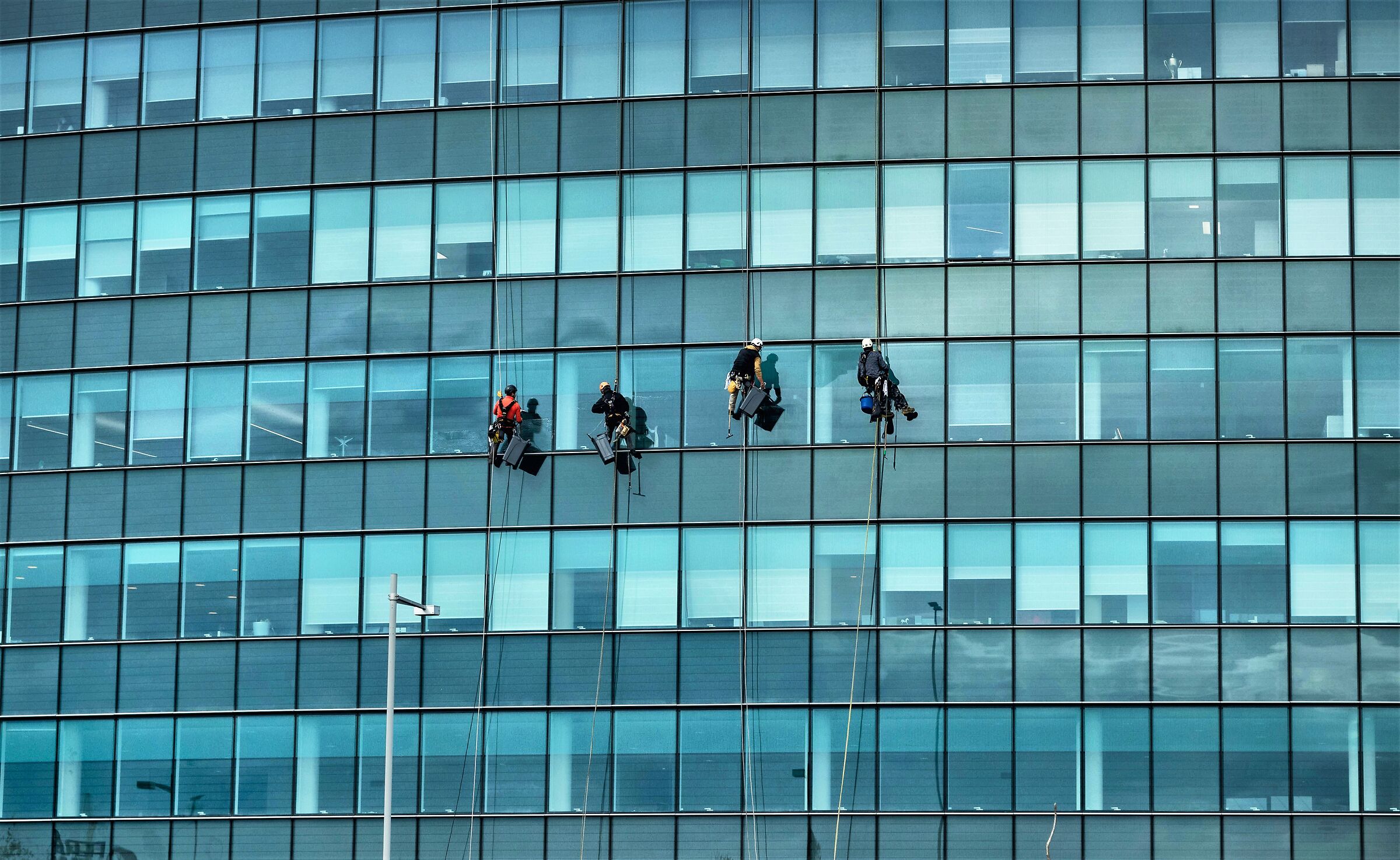Window Cleaner