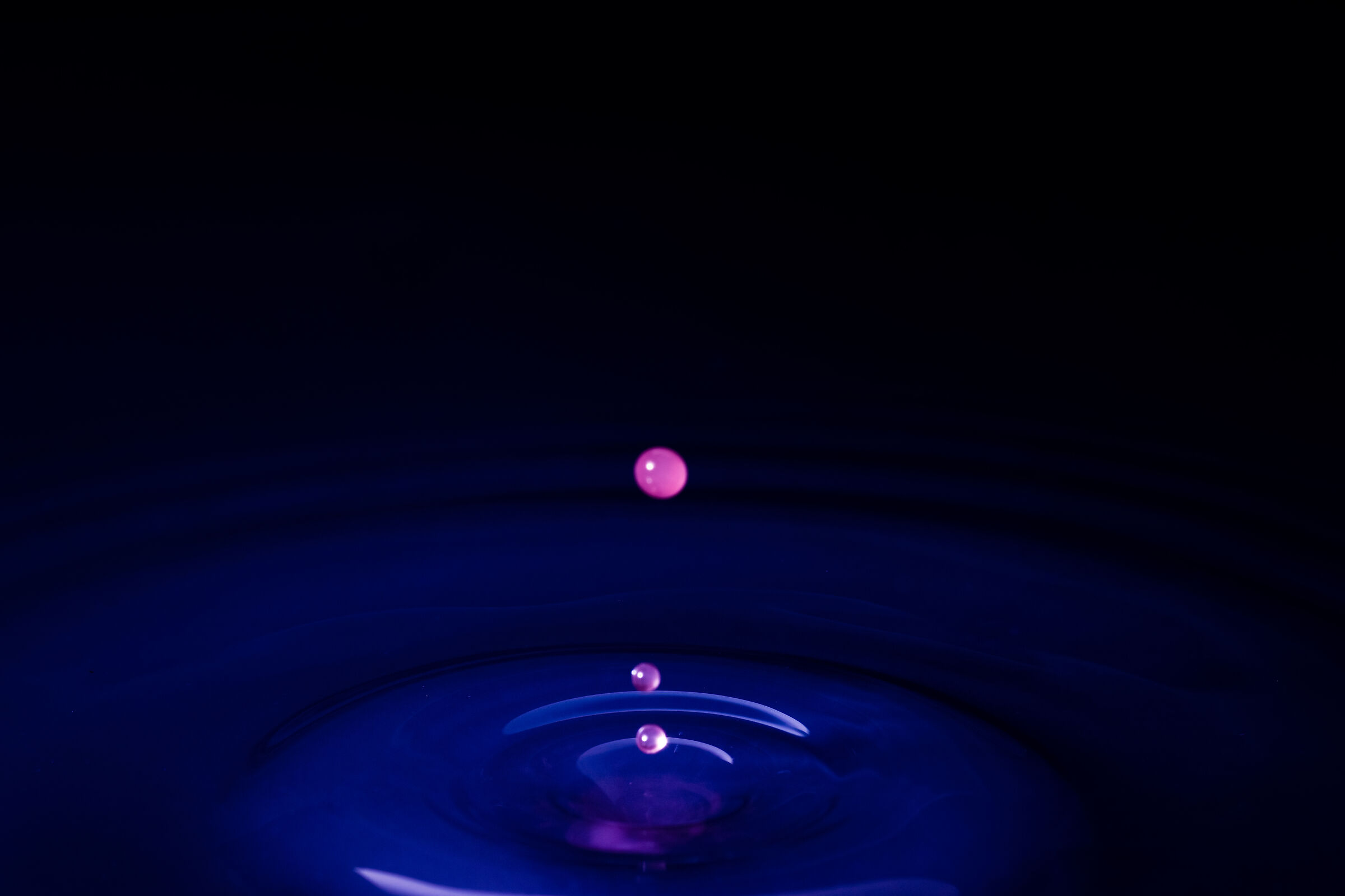 Untitled Photo