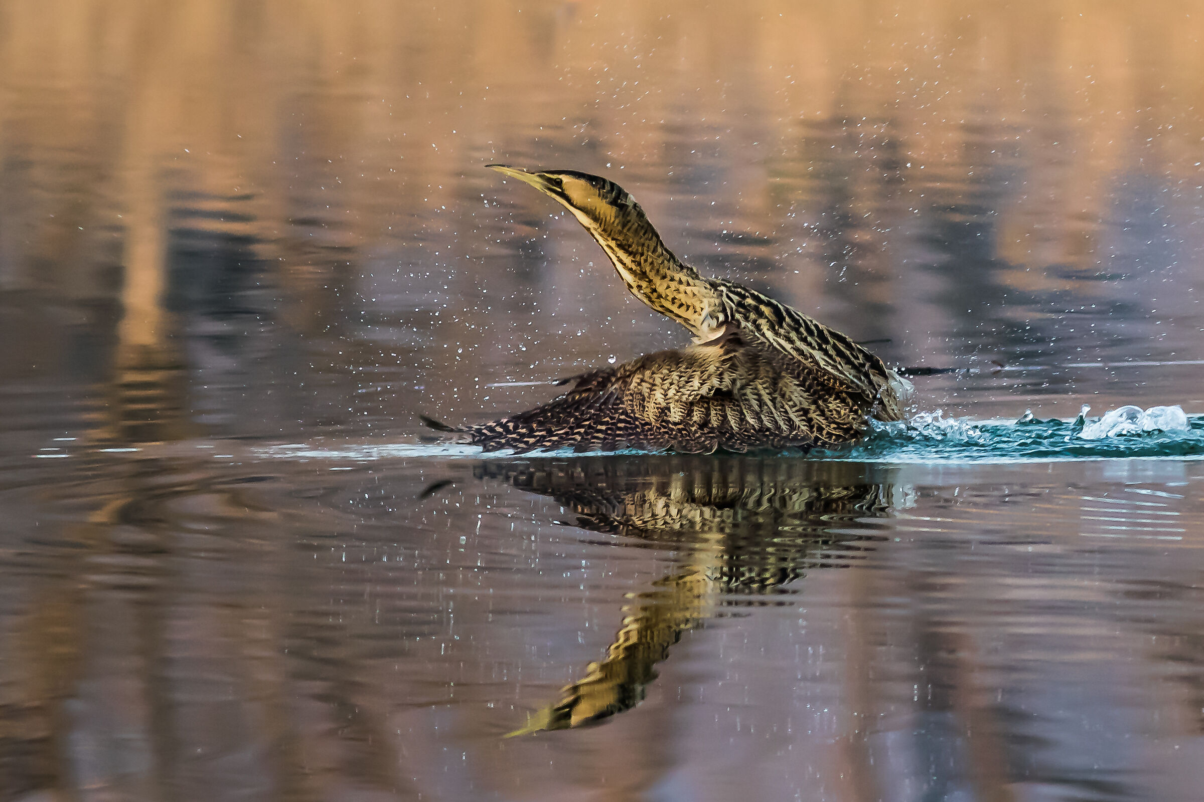 In partenza dall'acqua