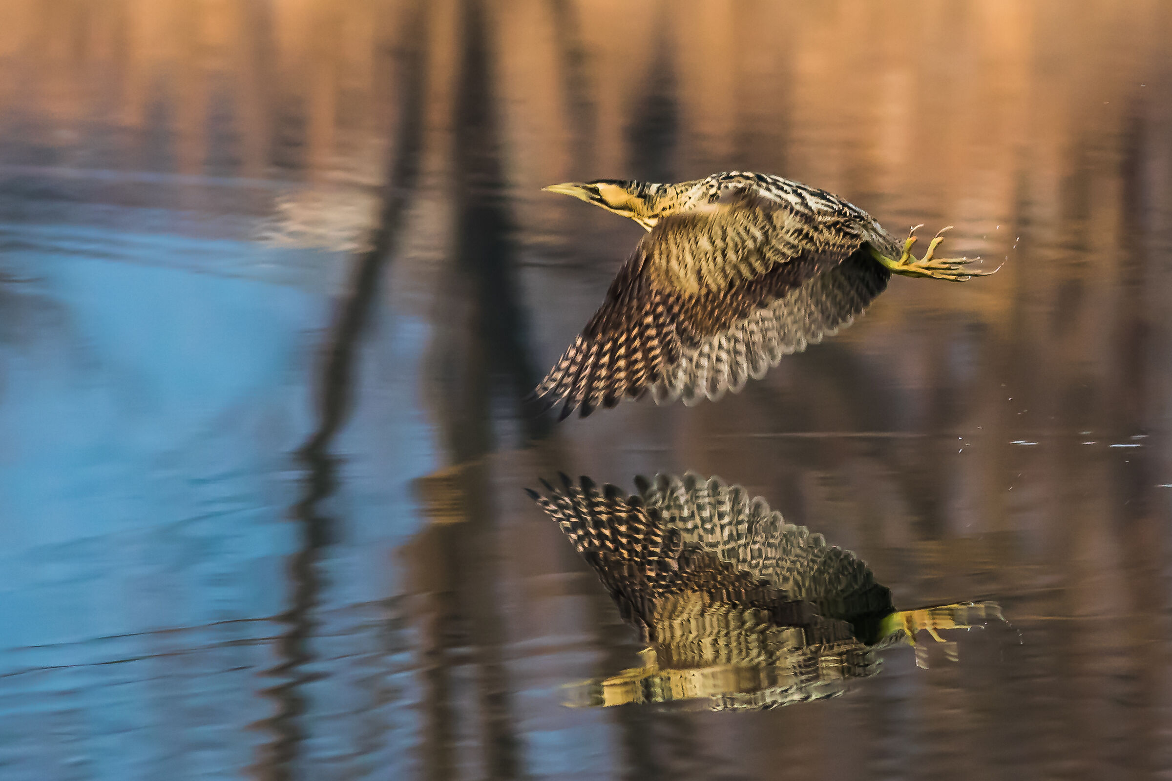 in volo
