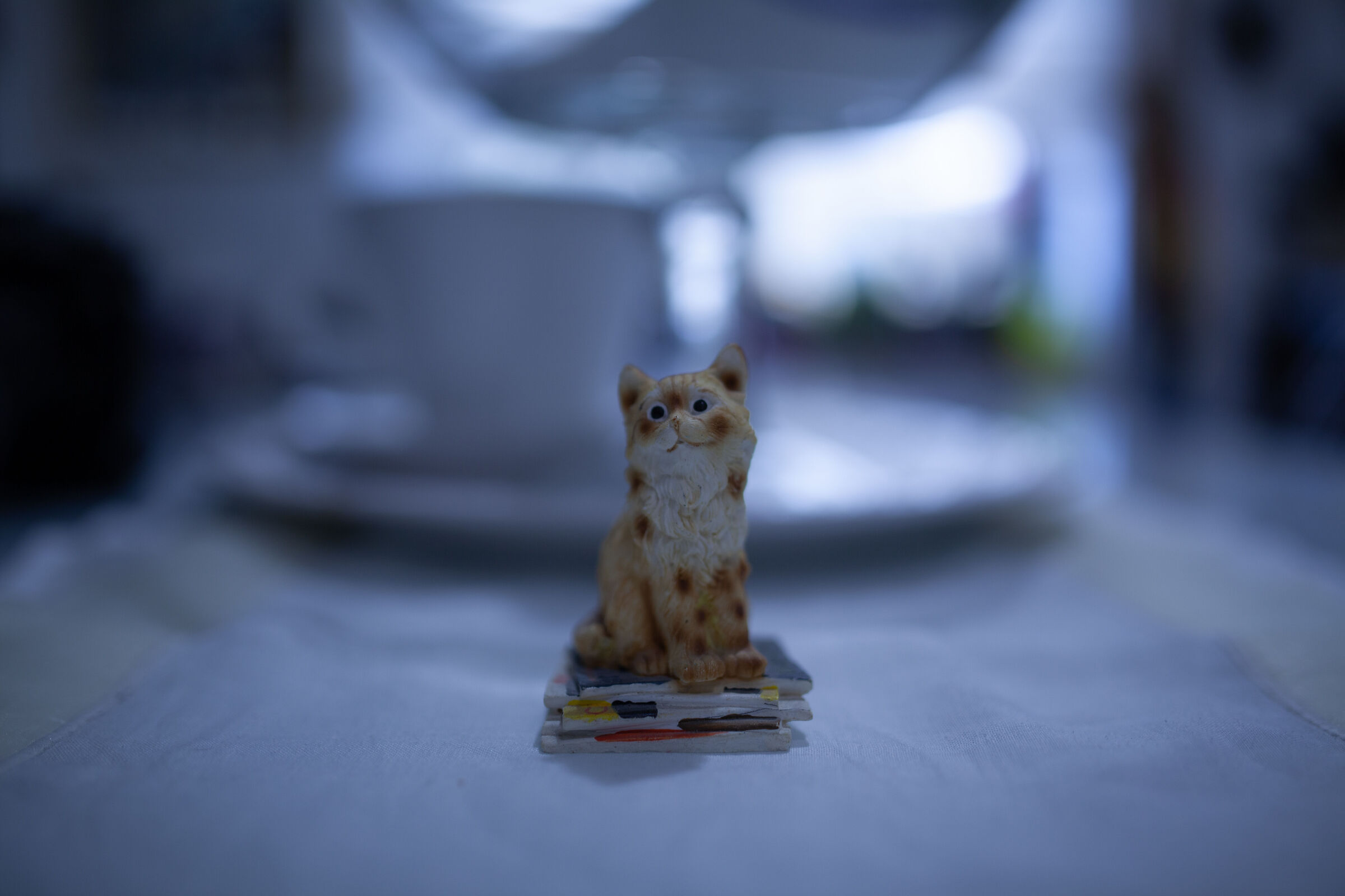 5DII 35 mm 1/40 1.4 ISO 100