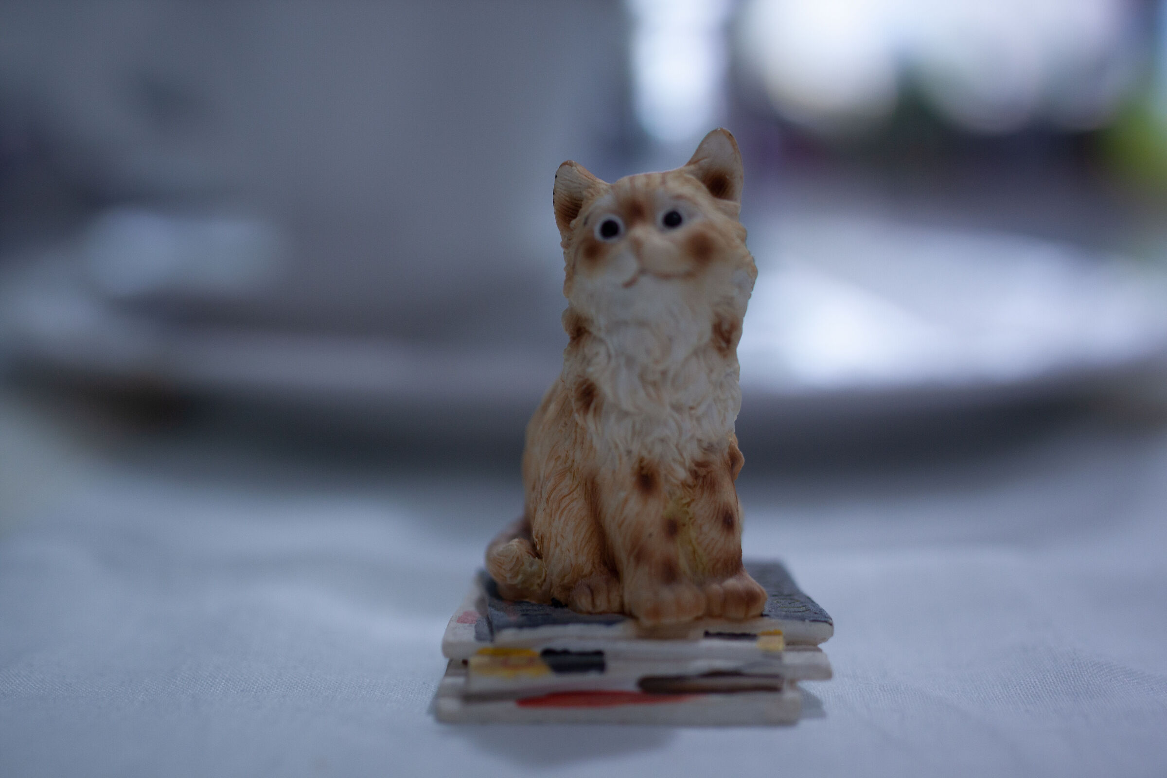 50D 35 mm 1/60 1.4 ISO 160