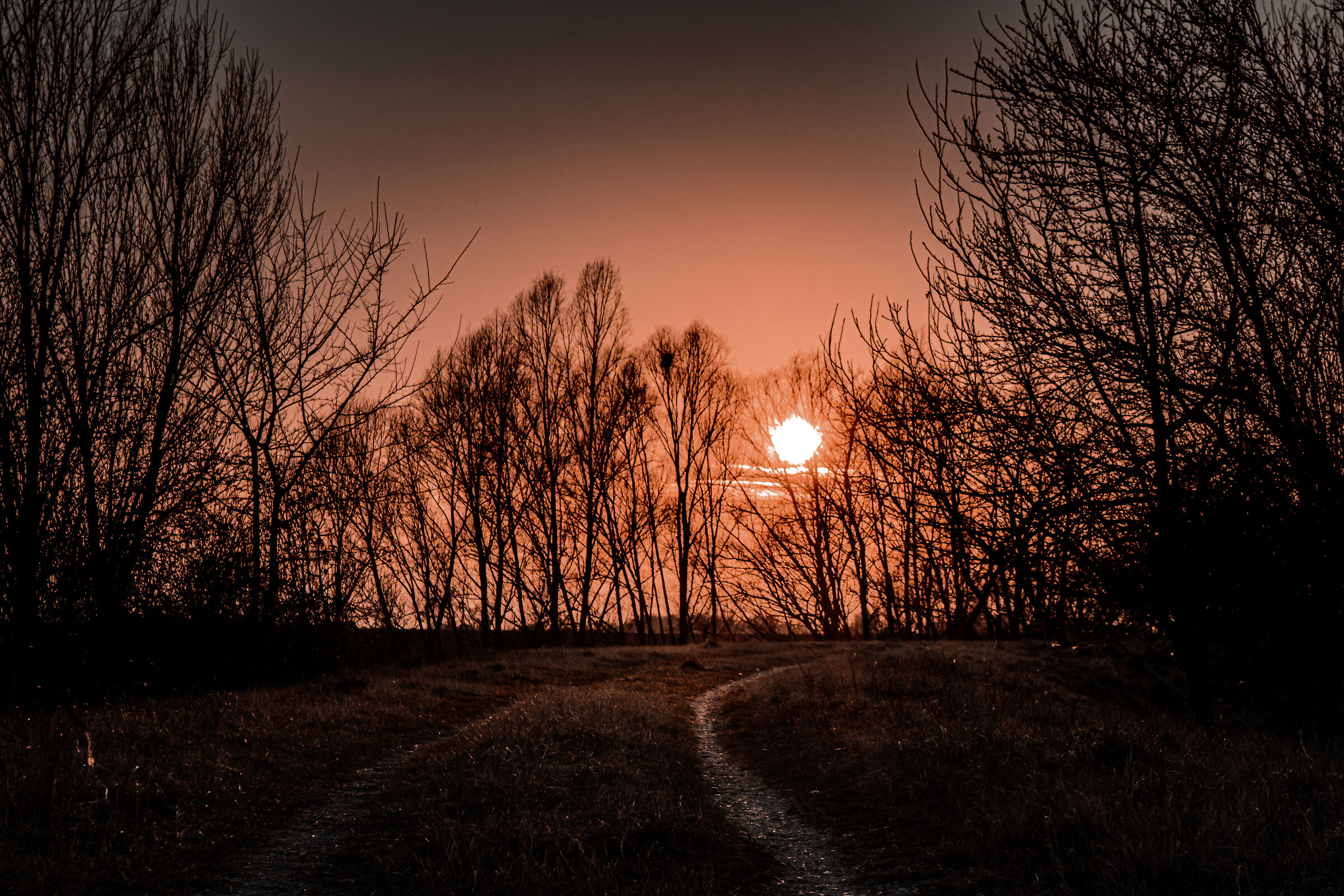 Sunset on path