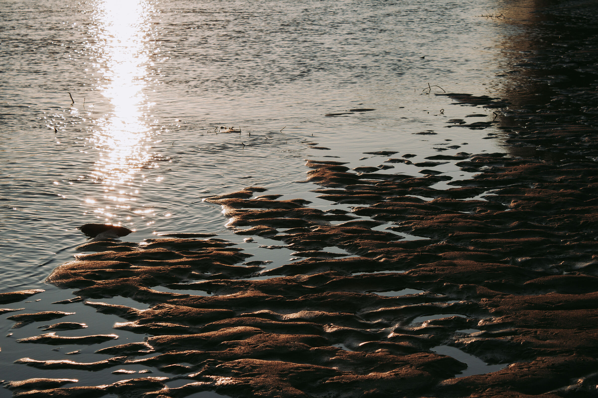 River bank at sunset