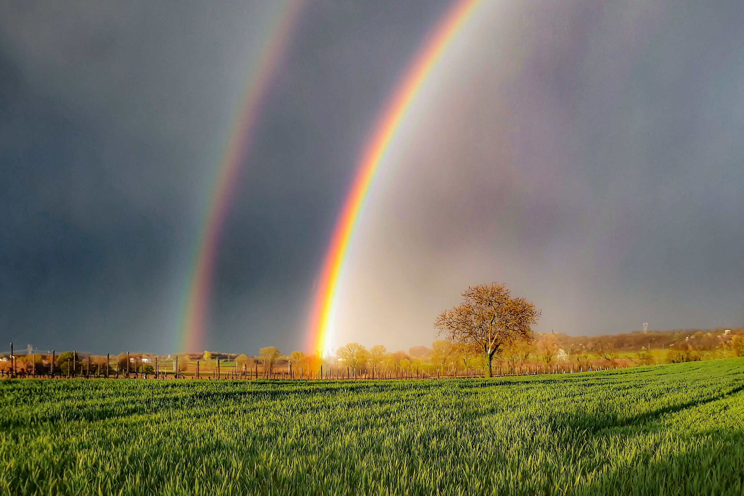 My dream is to fly, over the rainbow, so high...