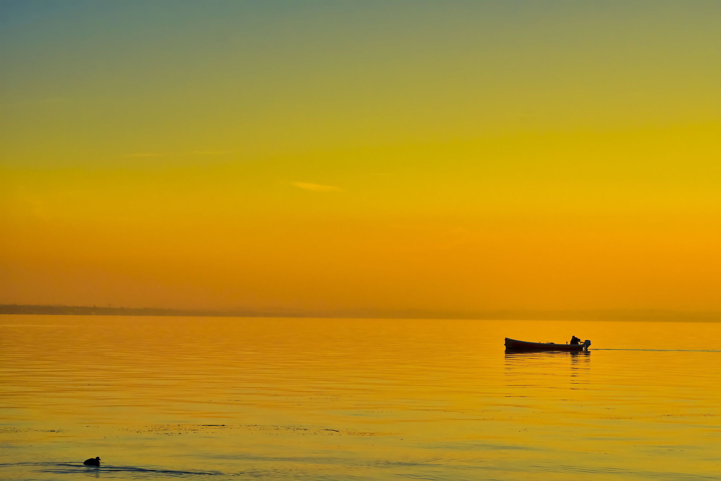 Who comes and who goes