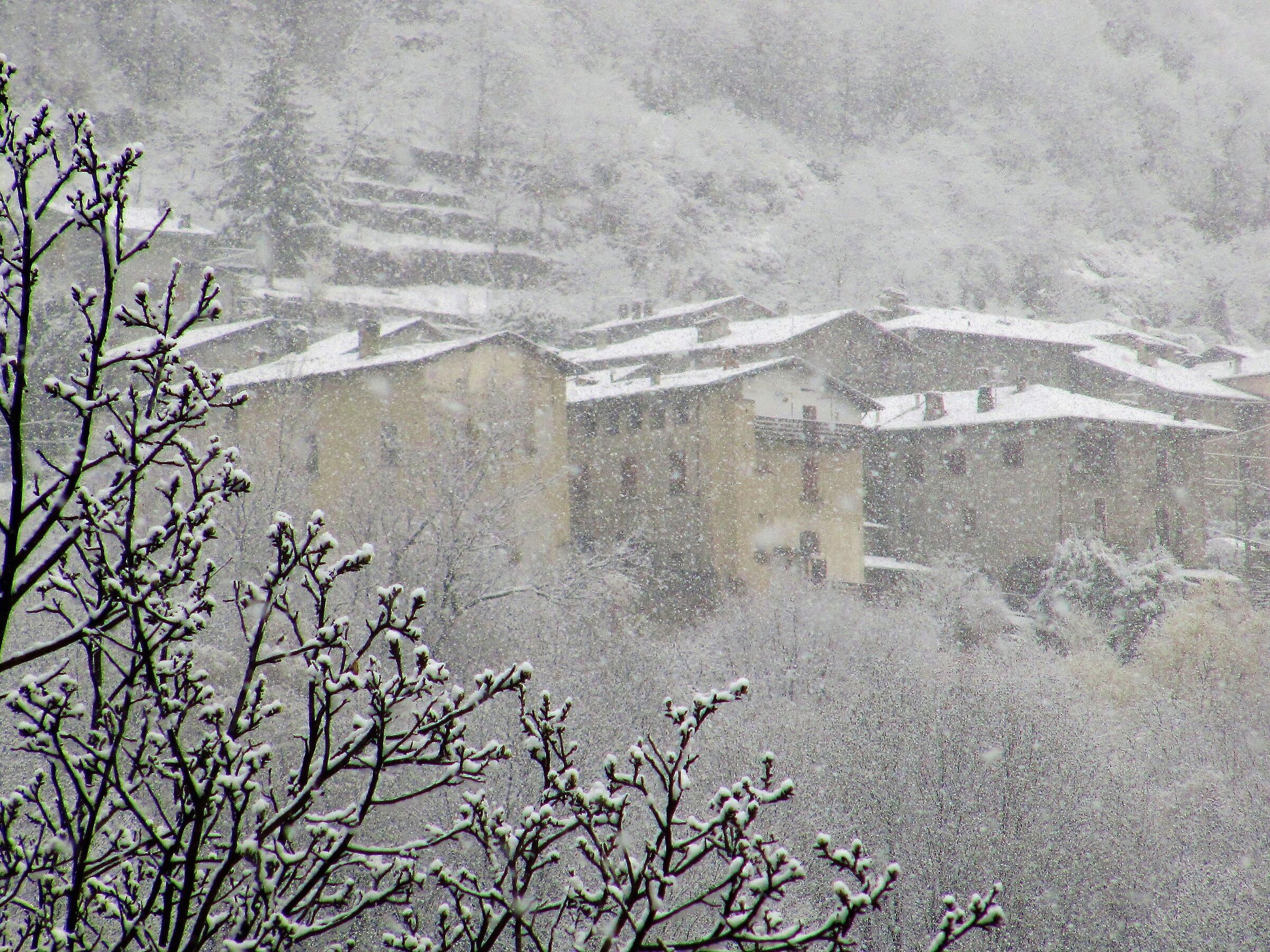 spring snow