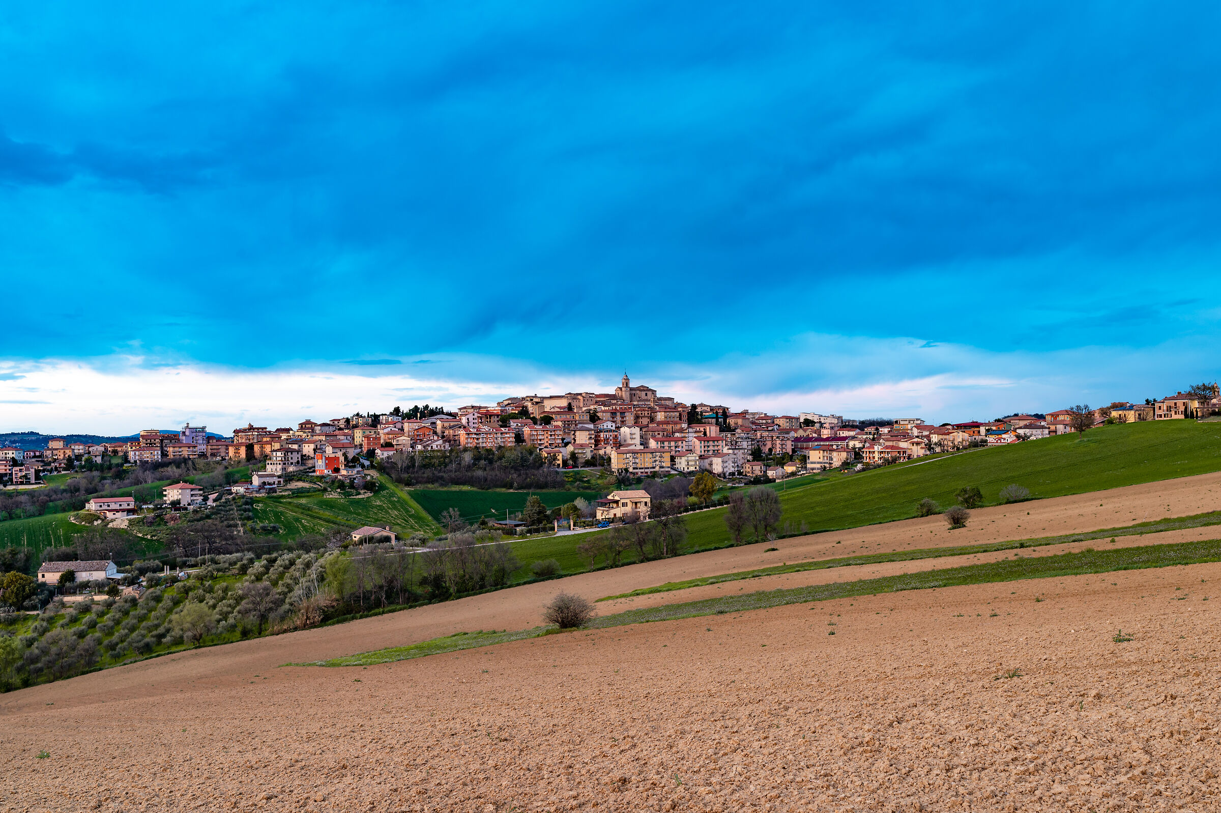 Monte San Giusto blue