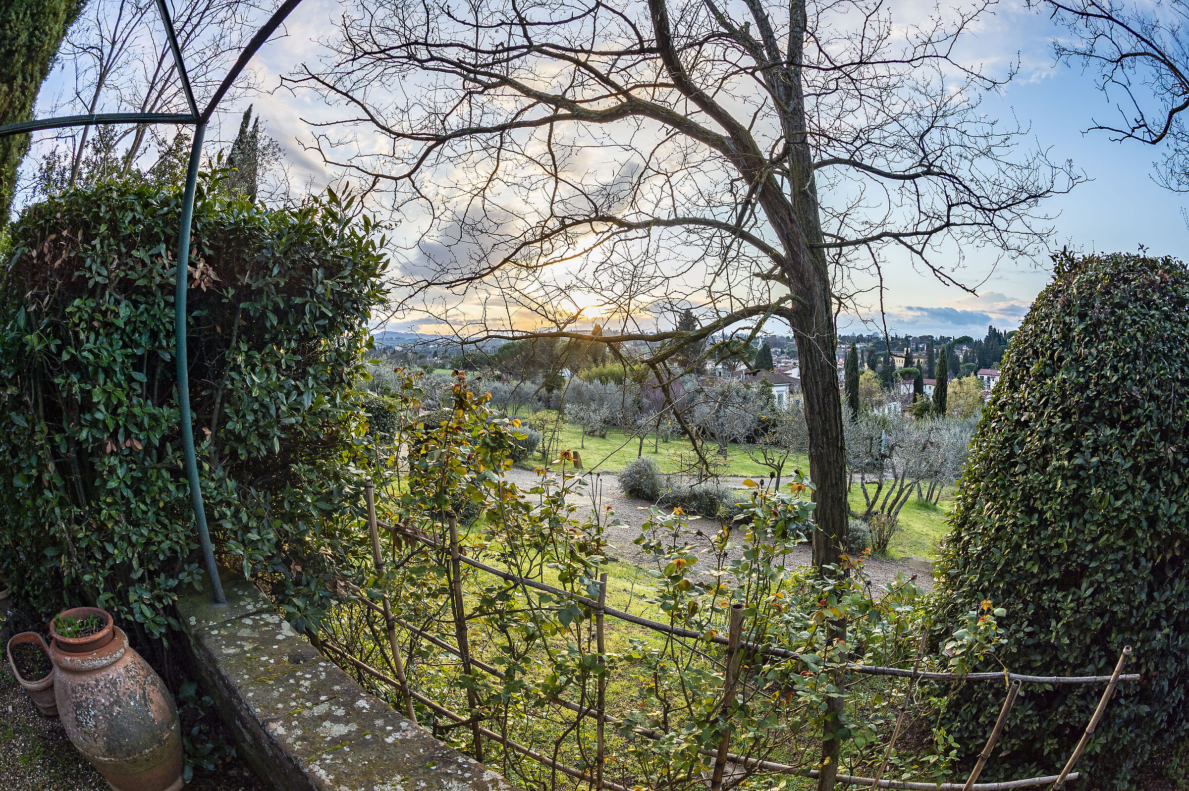 Let's try the fisheye