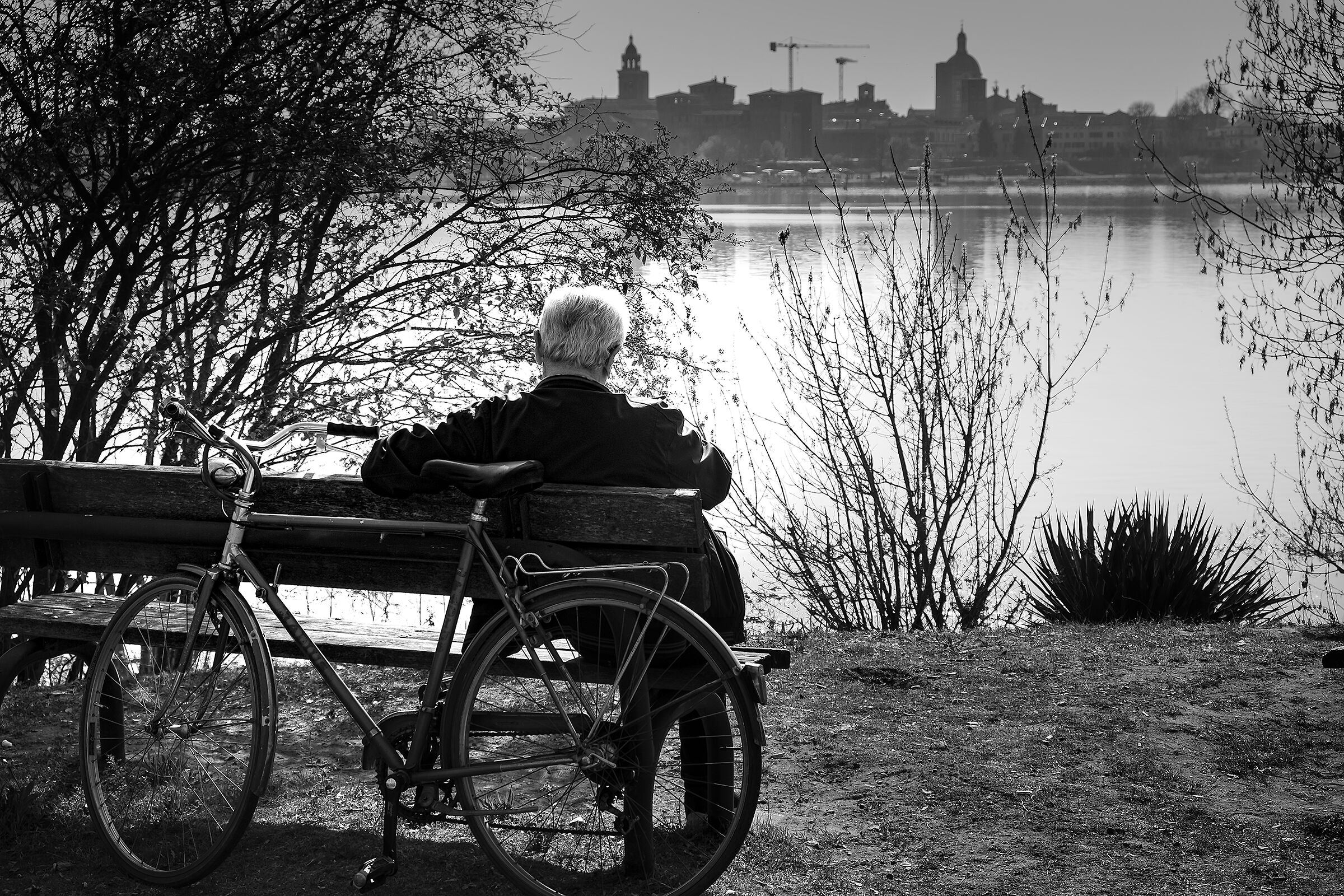 Looking at Mantua