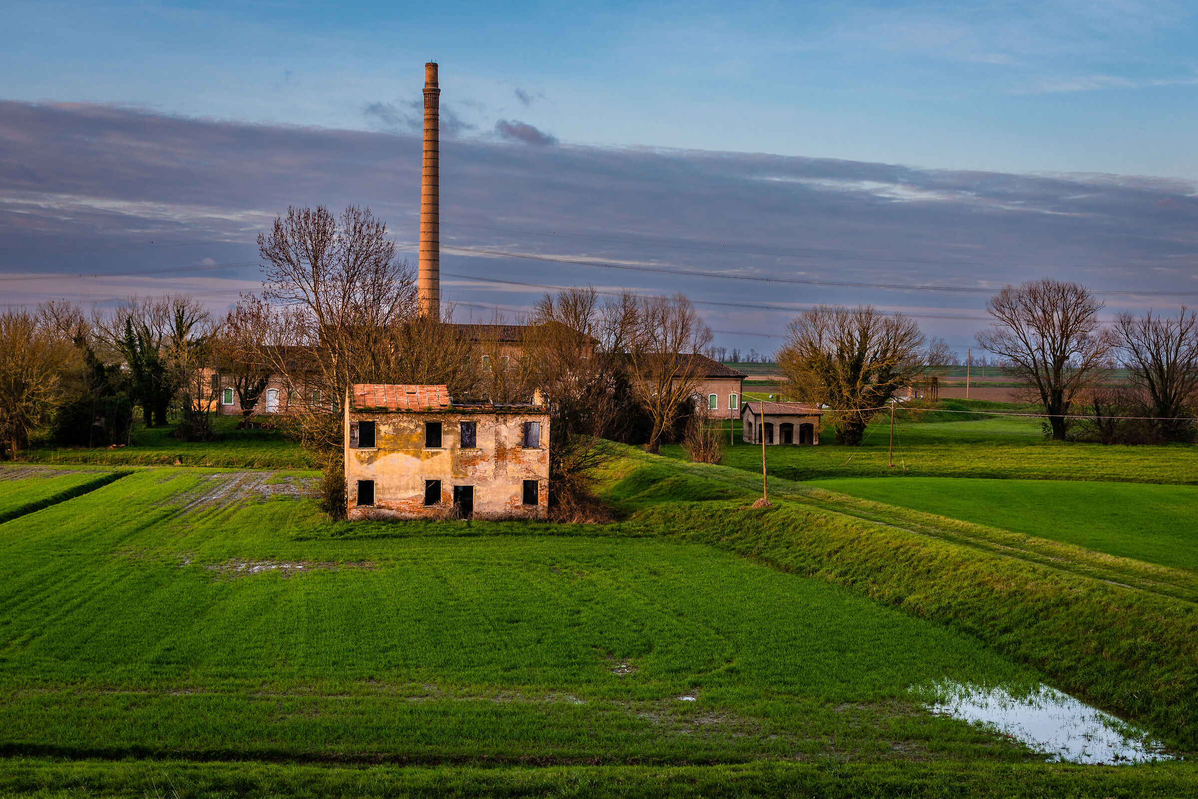 Storie di abbandono e di rinascita