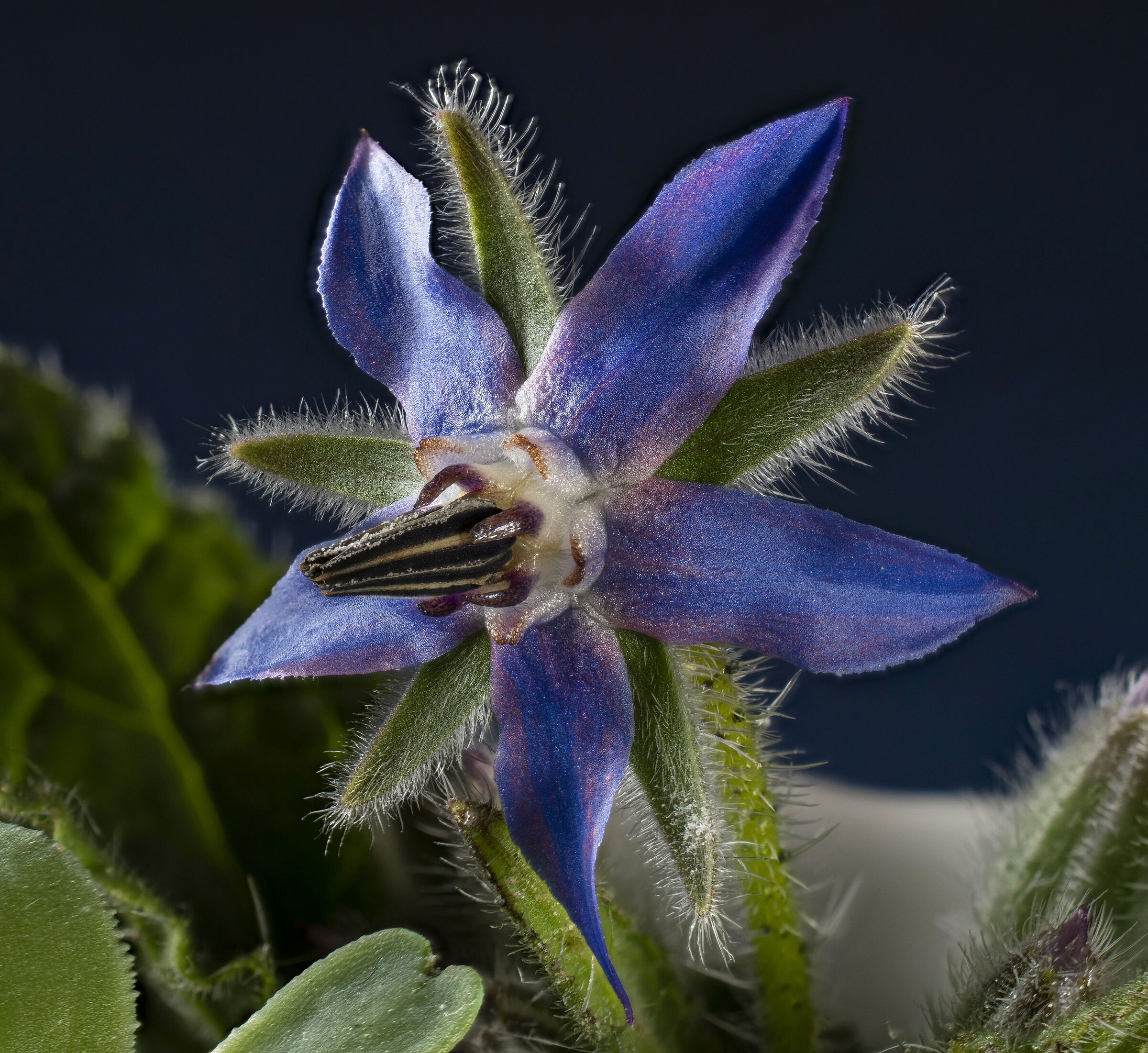 Humble... and extraordinary beauty!!