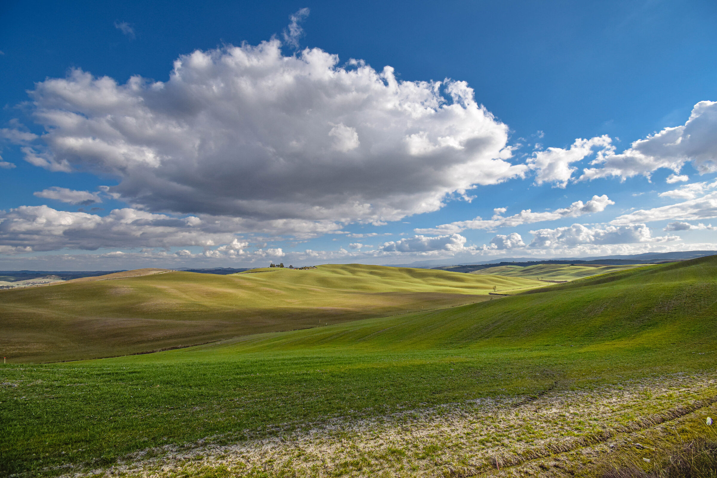 Crete Senesi