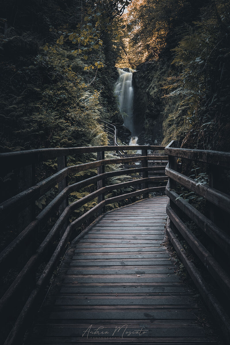 Ess-na-Larach - Glenariff (Northern Ireland)