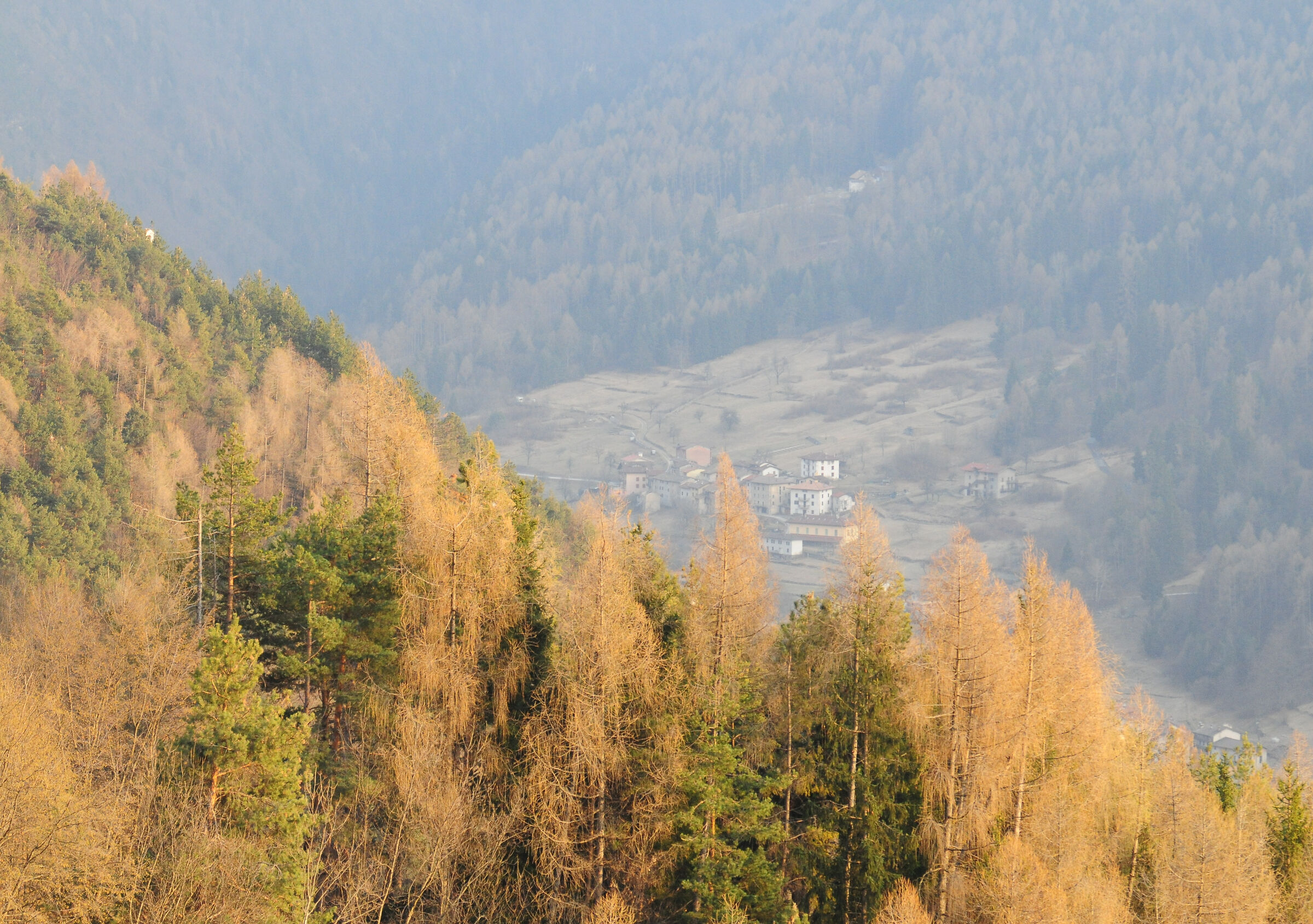 Terragnolo Valley 1