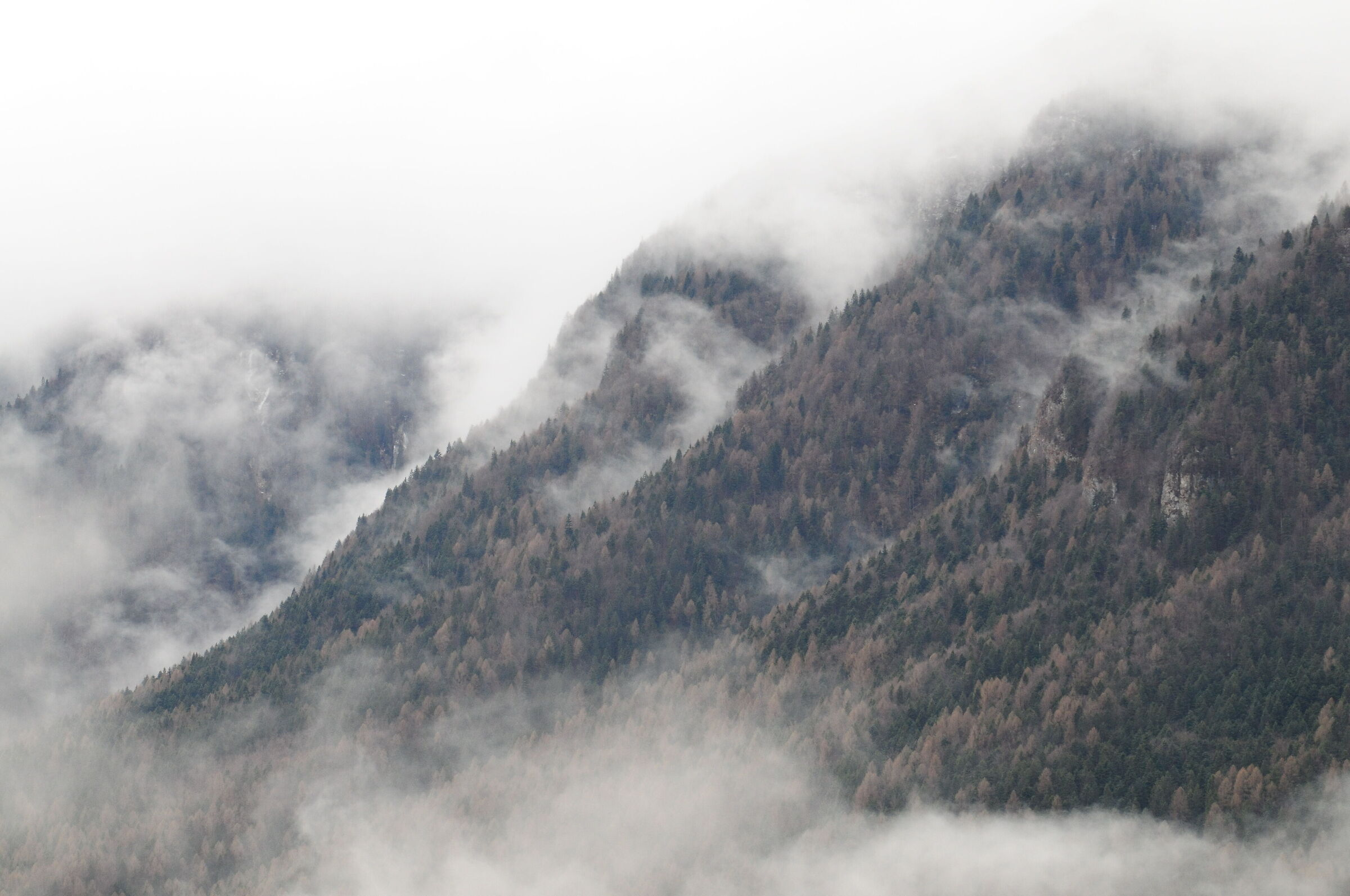 Terragnolo Valley 2