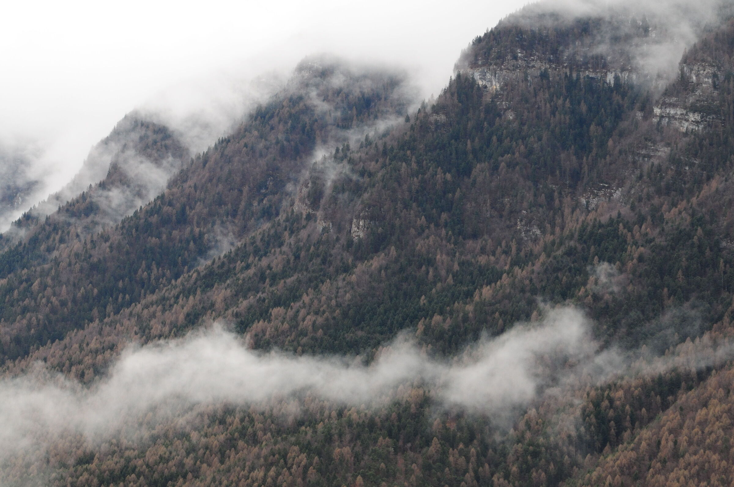 Terragnolo Valley 3