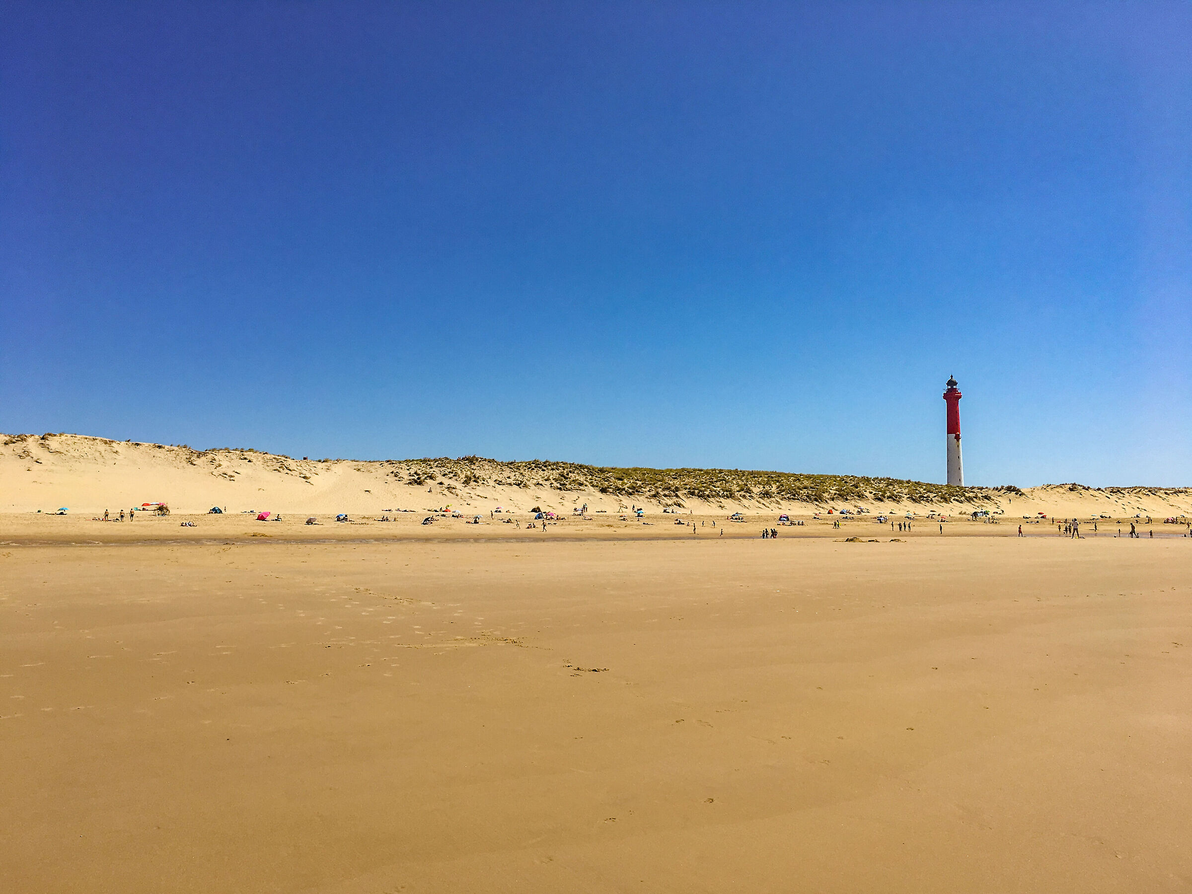Desert ocean
