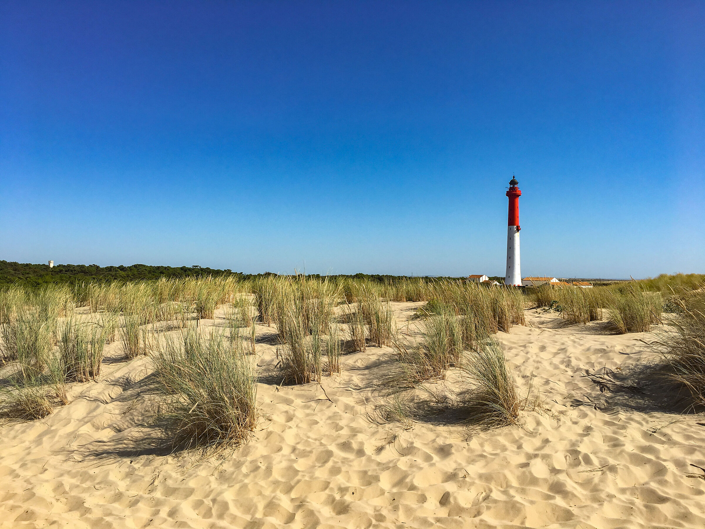 Ocean Desert 2