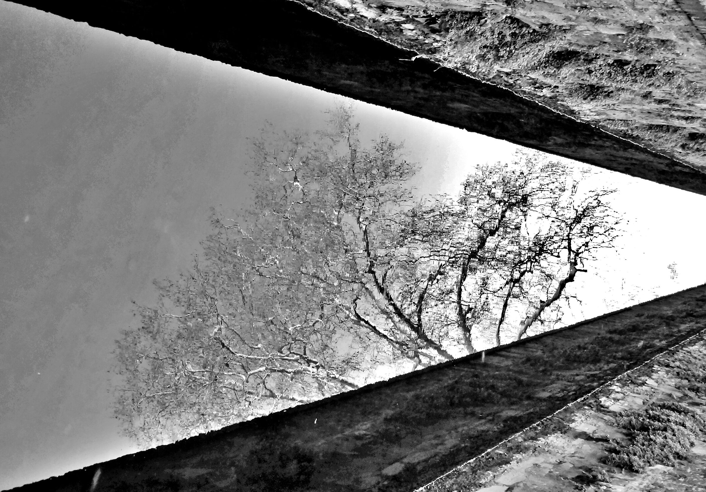 Lucca: alvero that is reflected in the canal