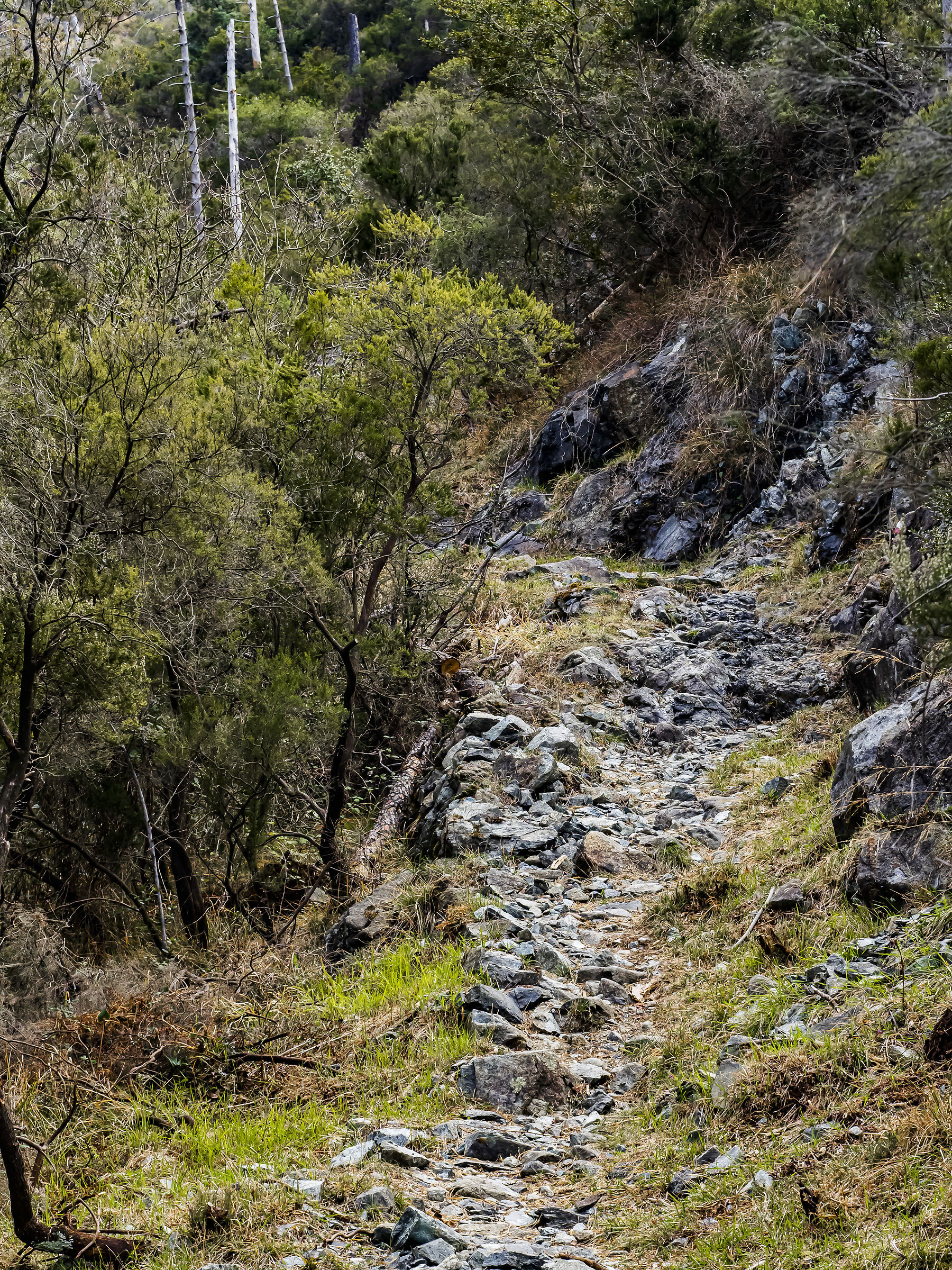 Levanto Monterosso Trail
