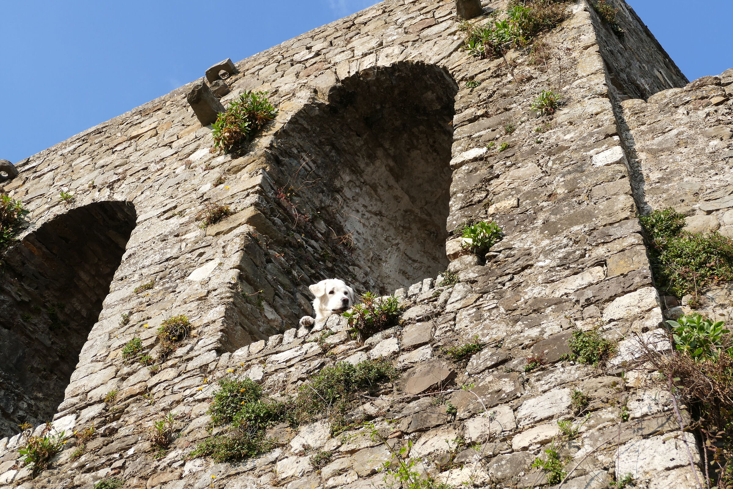 Il Signore del Castello