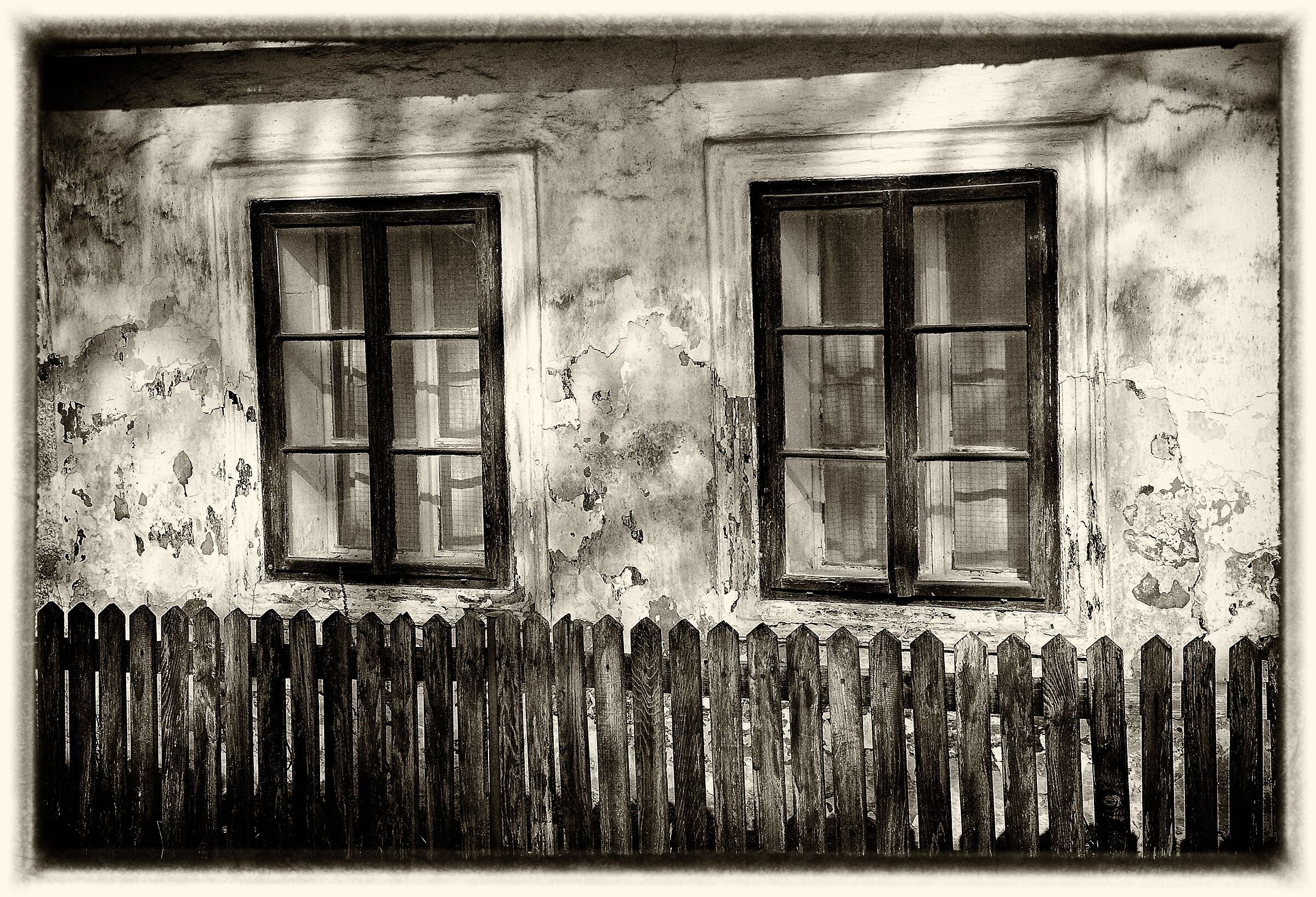 Windows - black and white