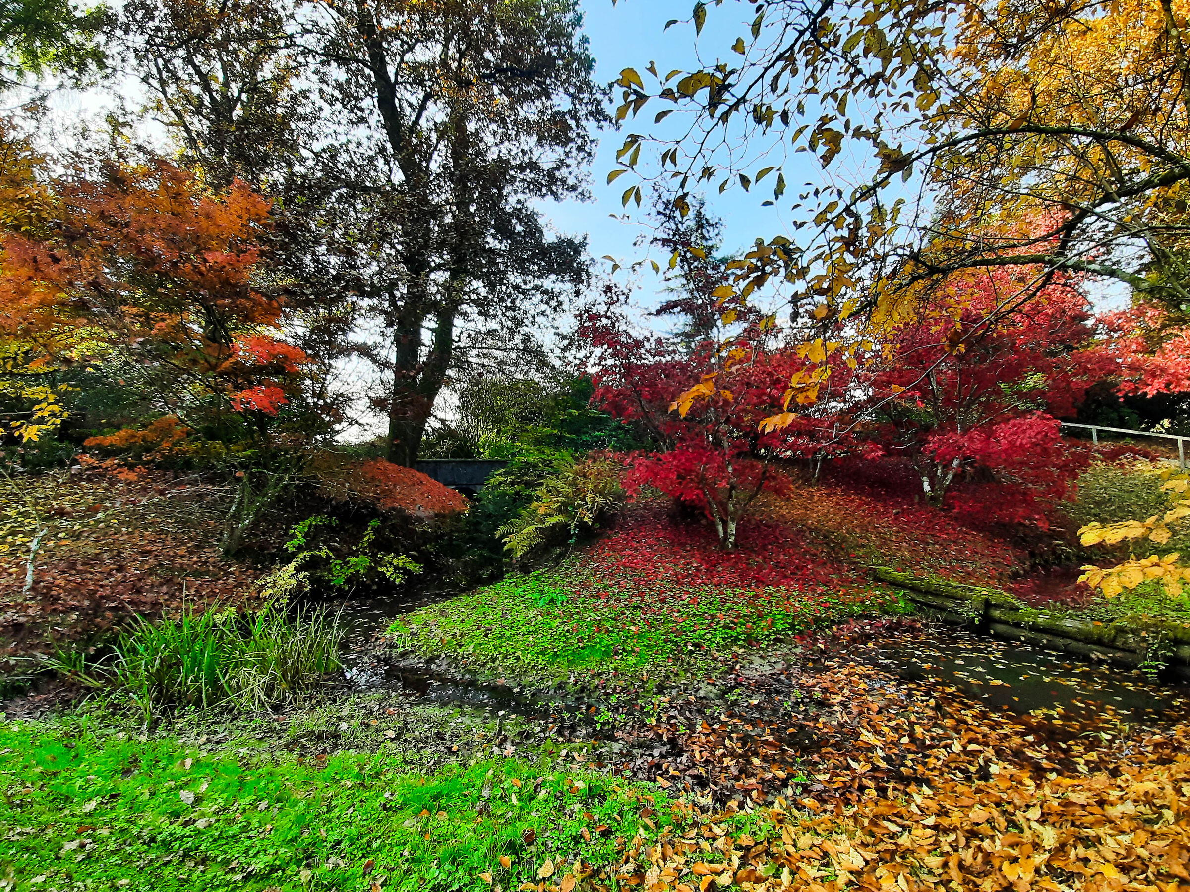 Arboretum 1