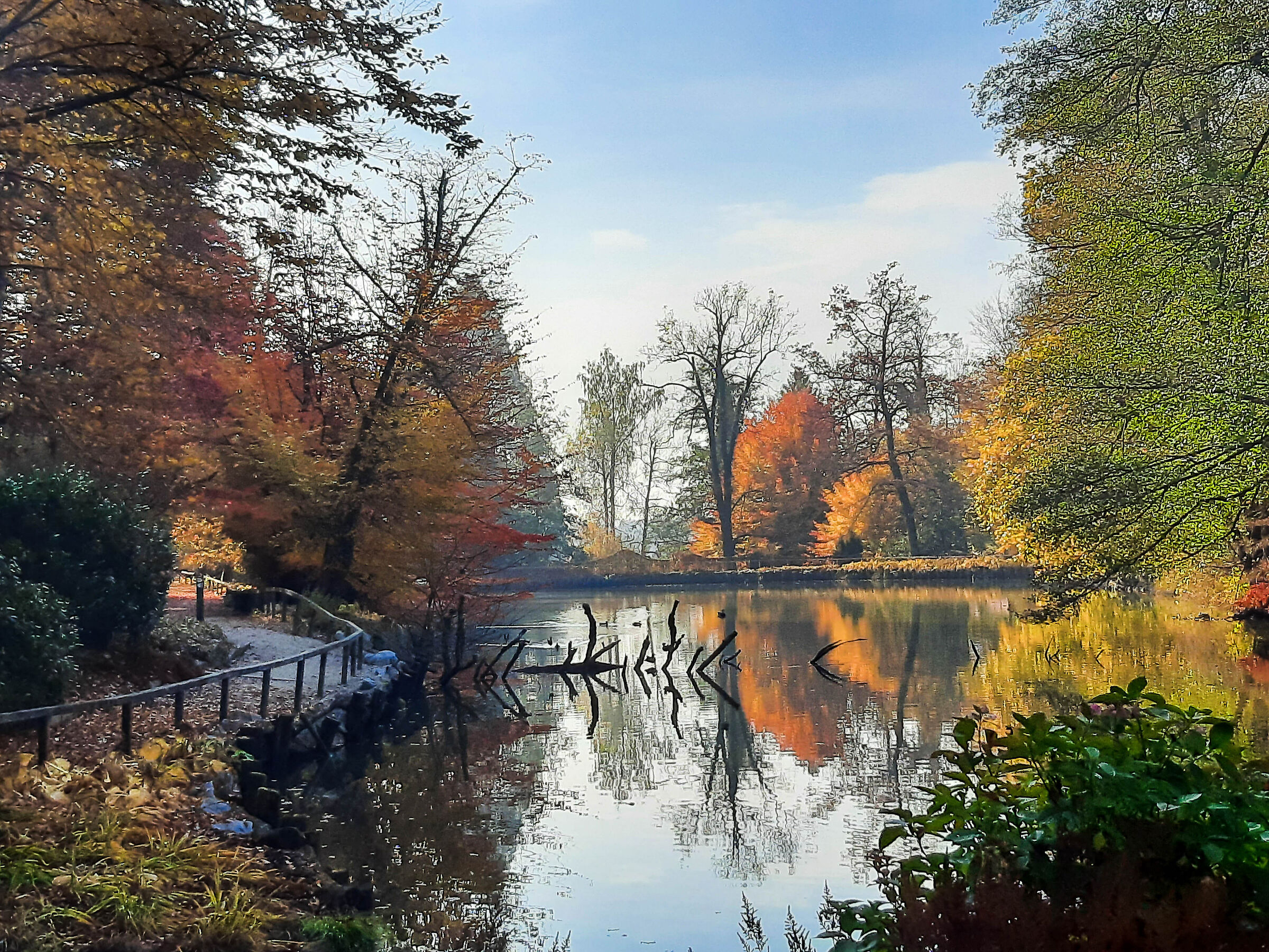 Arboretum 3
