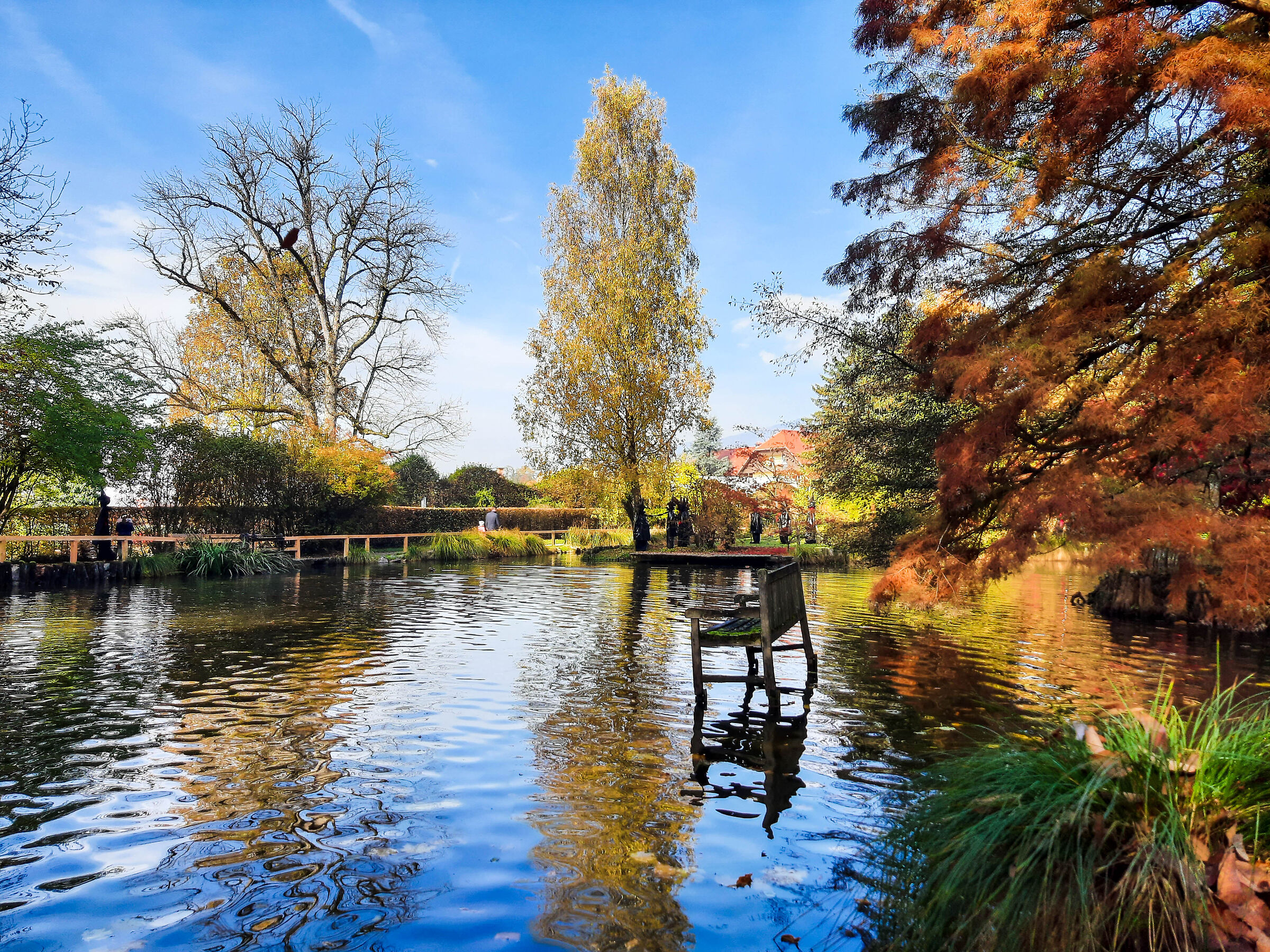 Arboretum 4