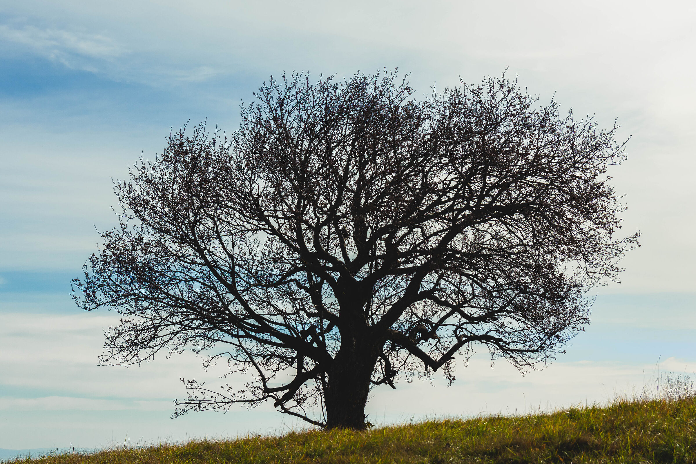 Solitudine